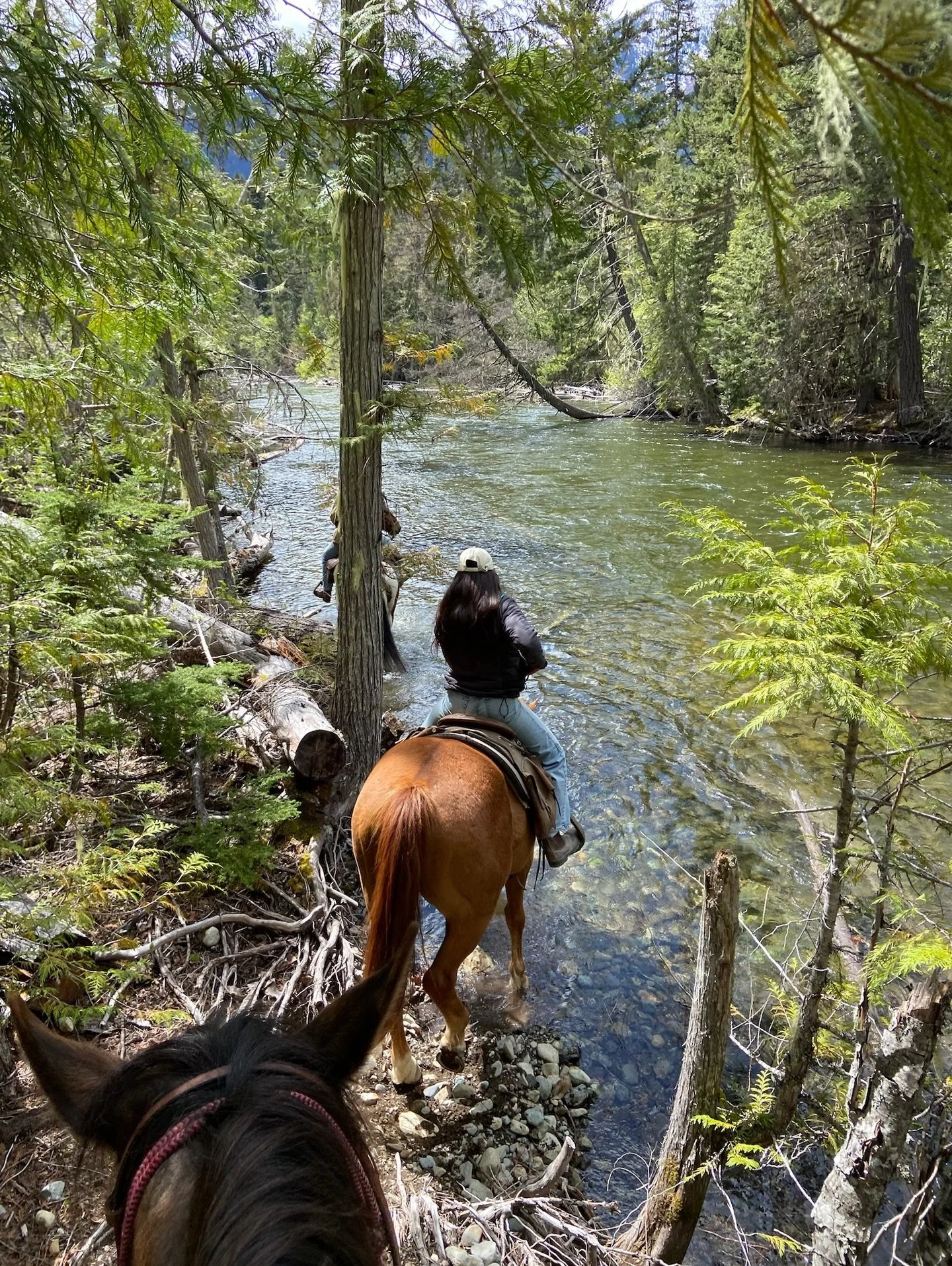 Have your &lsquo;Heartland&rsquo; moment this year 🏔️🇨🇦🐎

Join us this year for a ride between April 11 and Oct 11! Experience the lush valley farm fields on our One and Two Hour Rides, or escape to the mountains on our Half, Full and Multi Day B
