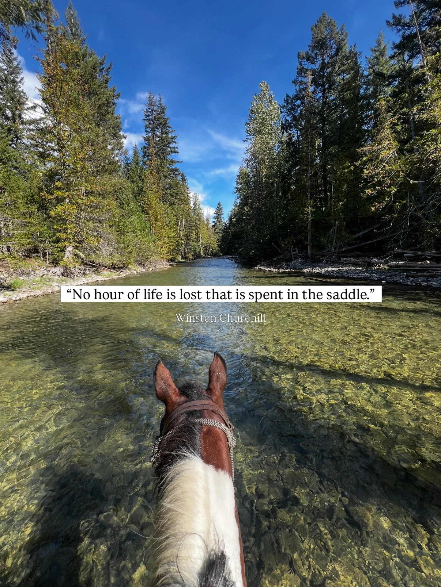 Send this to the person you want to wade through a river with on horseback this Summer 🌲🏔️
