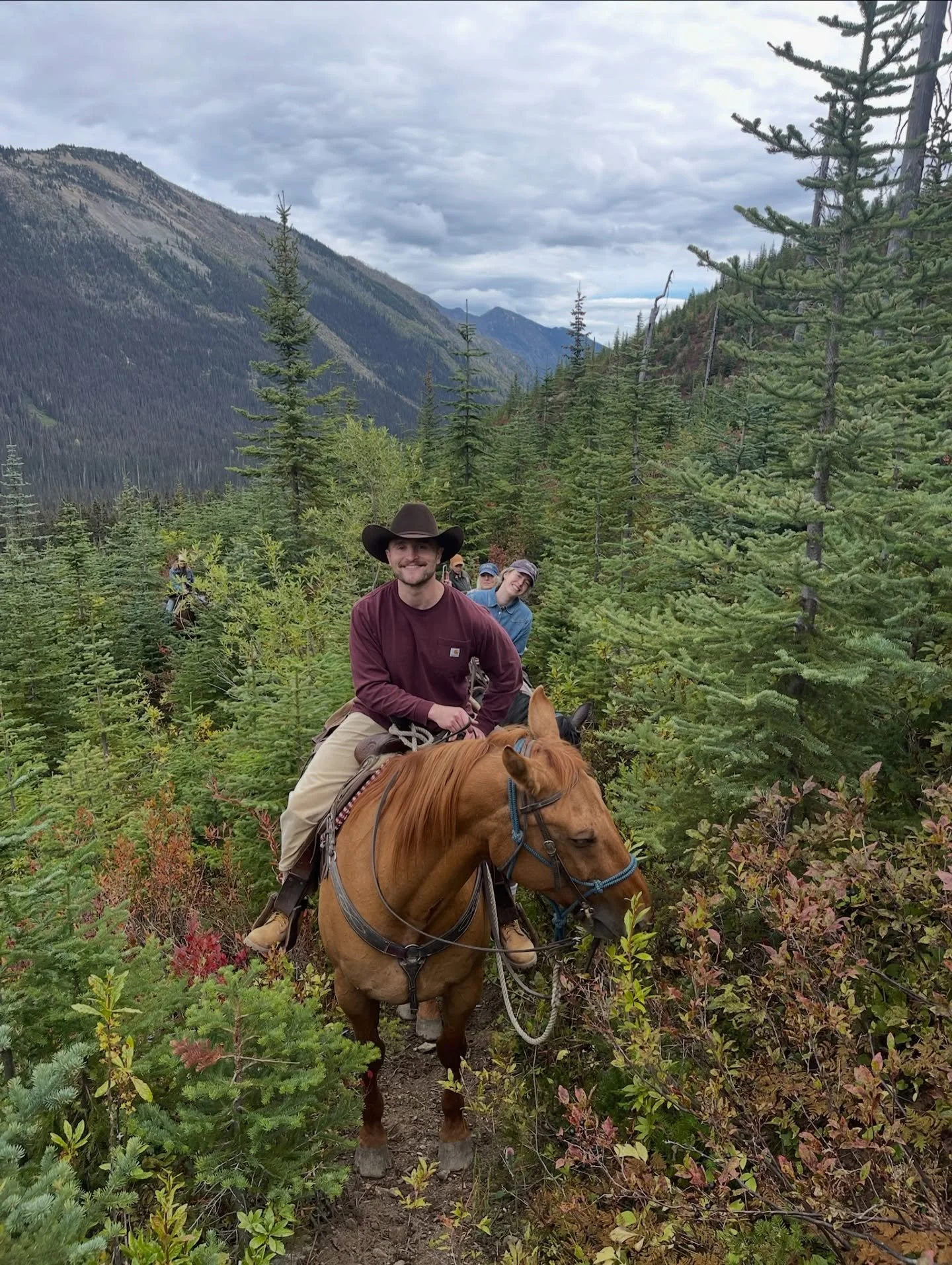 A common question we get is &lsquo;can we canter?&rsquo; by experienced riders. Here&rsquo;s everything you need to know about faster paces on our tours:

&bull; One Hour &amp; Two Hour Rides
These rides are in the flat valley farm land so do have op