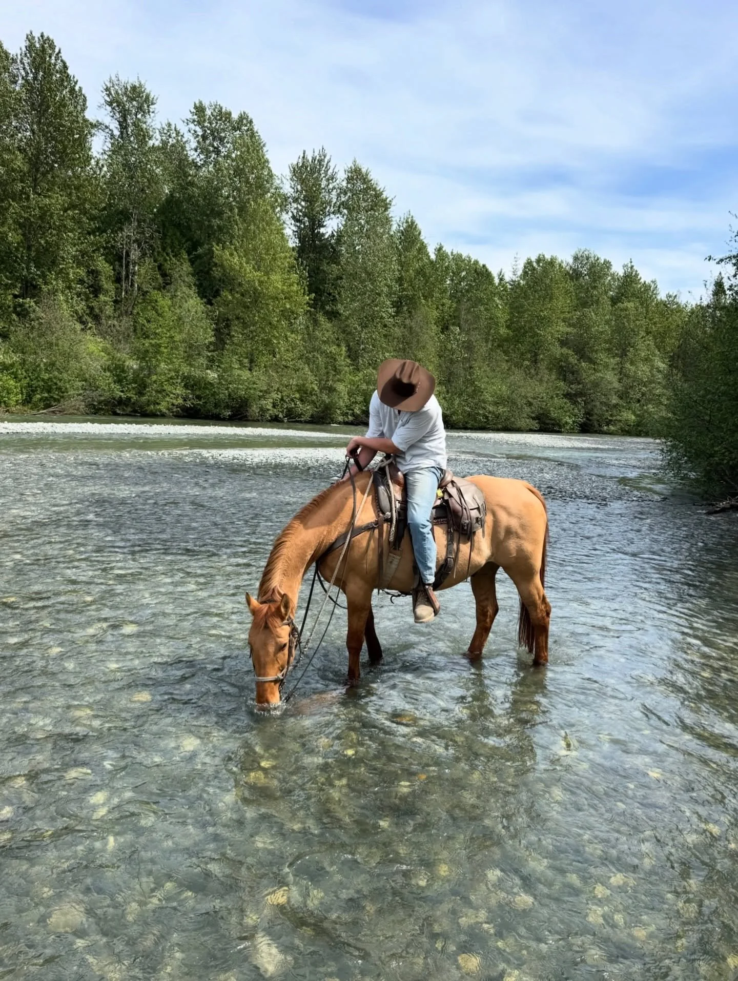 Happy May Long Weekend all! We&rsquo;ll be riding all weekend with spaces still available if you&rsquo;d like to join us. Spend a few extra days in our lovely town of @tourismpemberton and be sure to visit the @lilwatnation Rodeo!

#horseriding #pemb