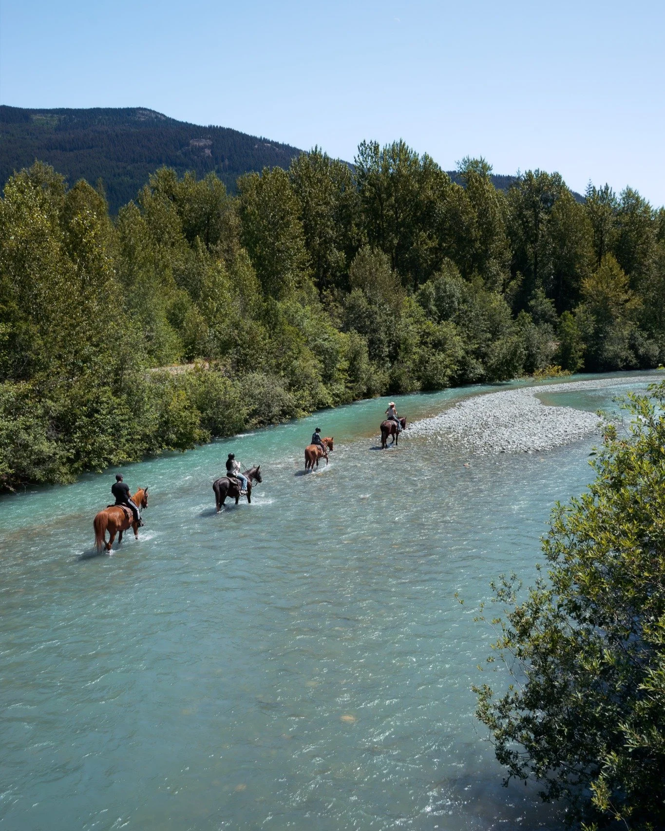 Riding into the long weekend in the Sea to Sky 🤠

Image: @nicola.horsfall 

#horseriding #pemberton #whistler #canada #britishcolumbia
