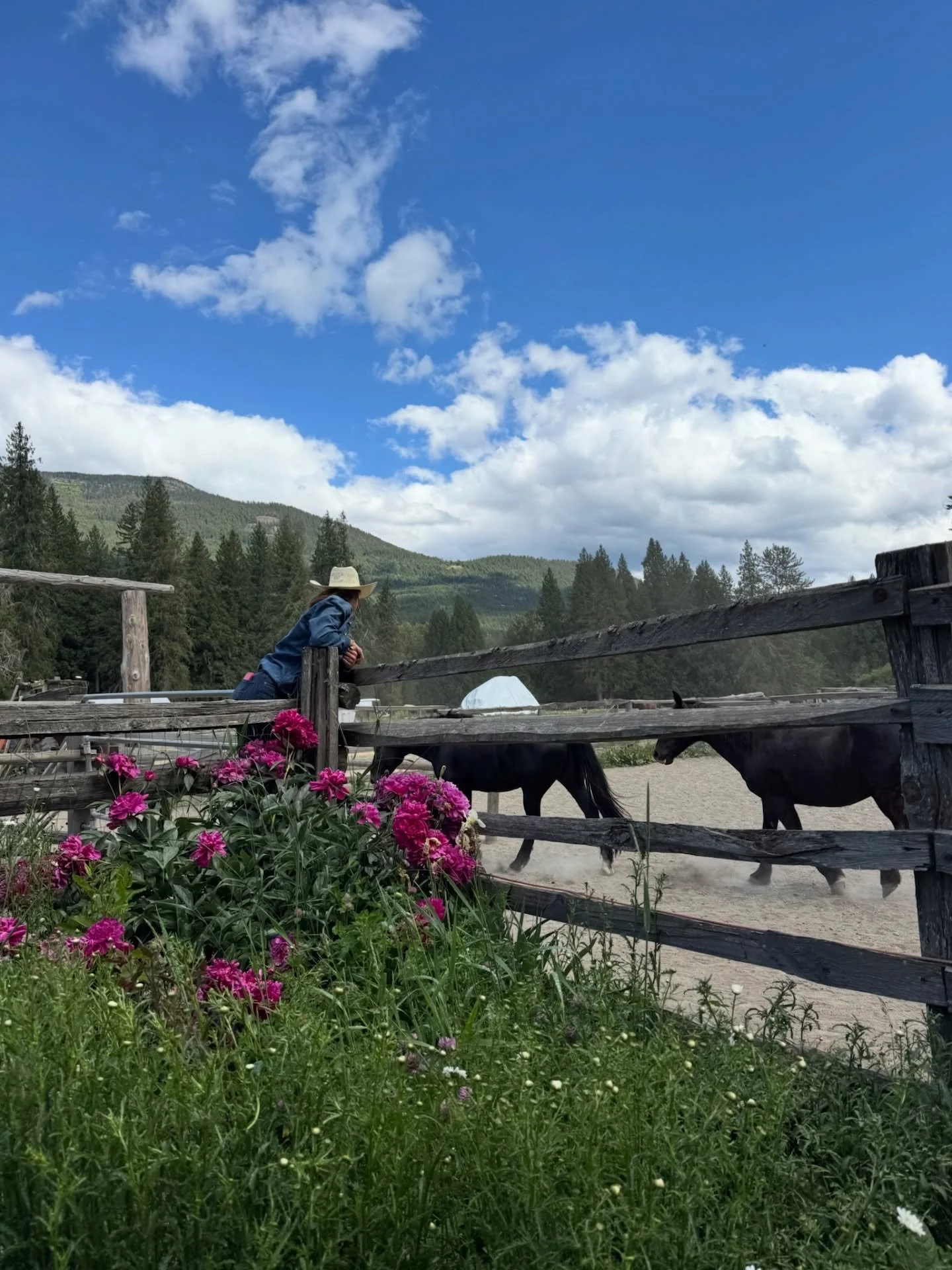 Copper Cayuse Outfitters riders moving from farmland toward the mountains