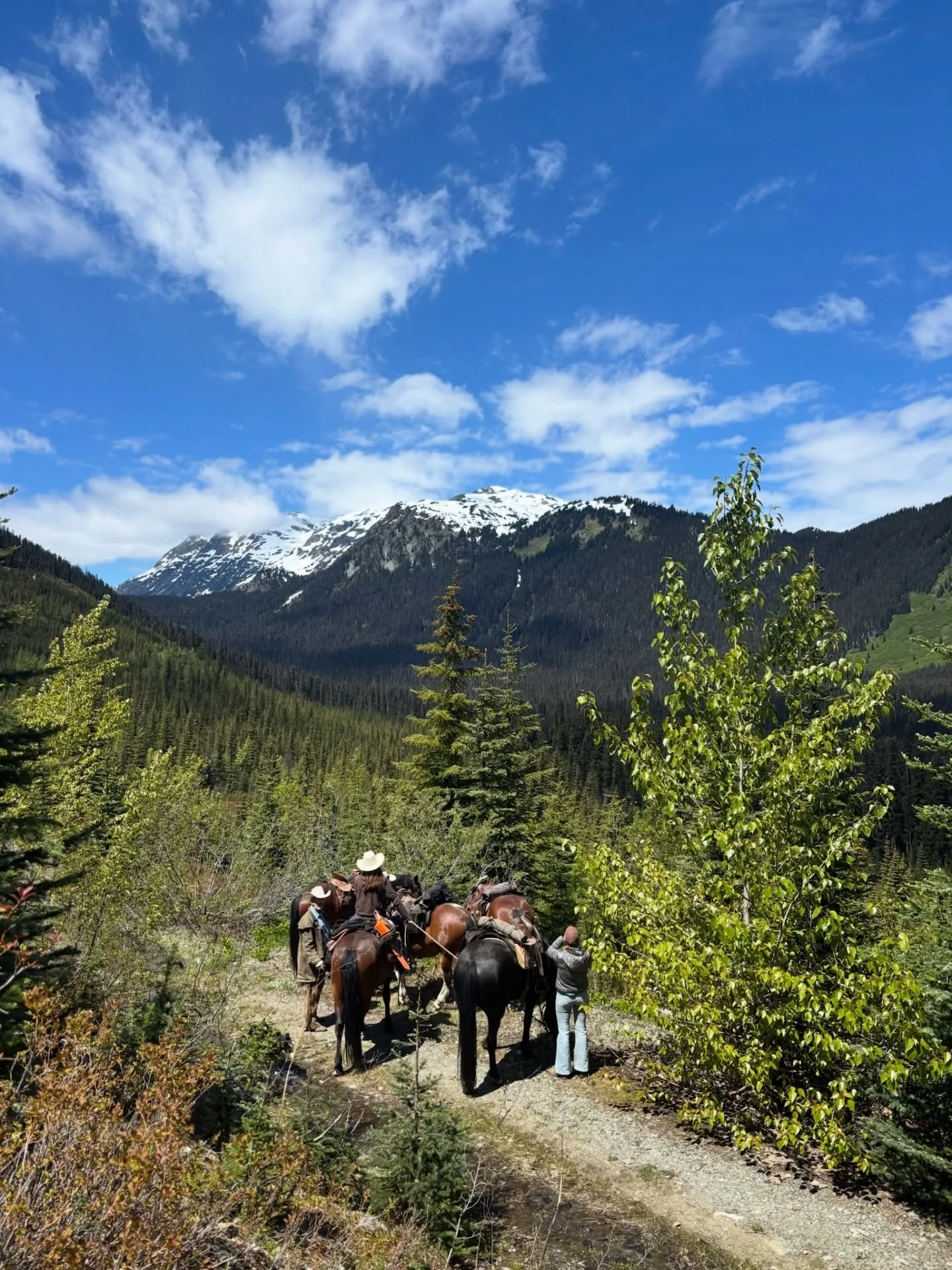 Deep in the mountains on our Expedition trails.

Our camps are a special experience that takes you up remote trails north of Pemberton to historic gold mines where old track and trolleys remain. The brave can wander inside the old tunnels that are tu