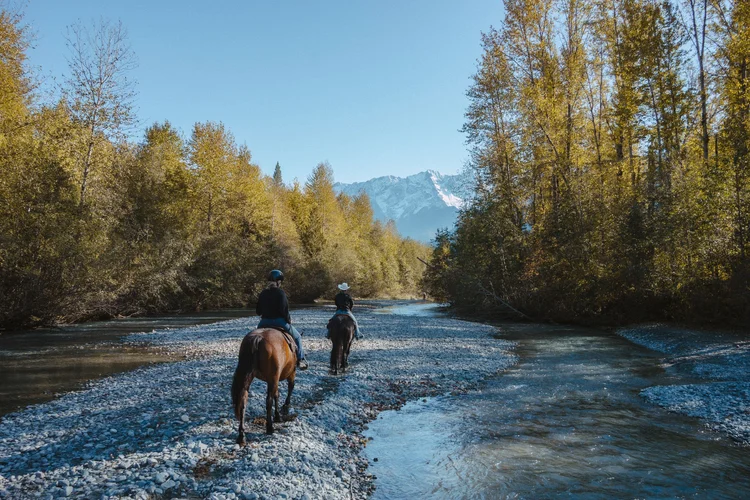 Horseback Riding in Pemberton