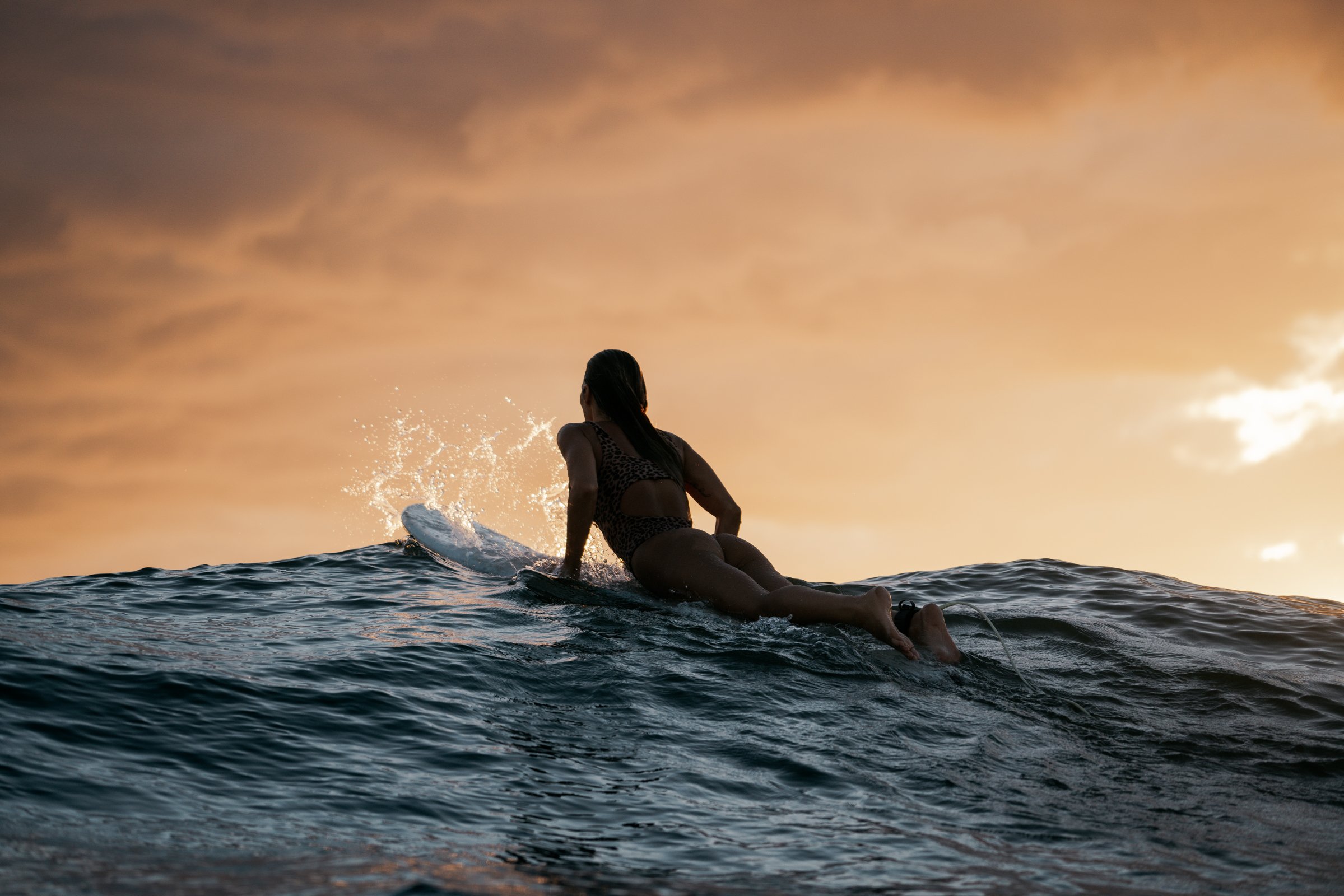 SurferSunset.jpg