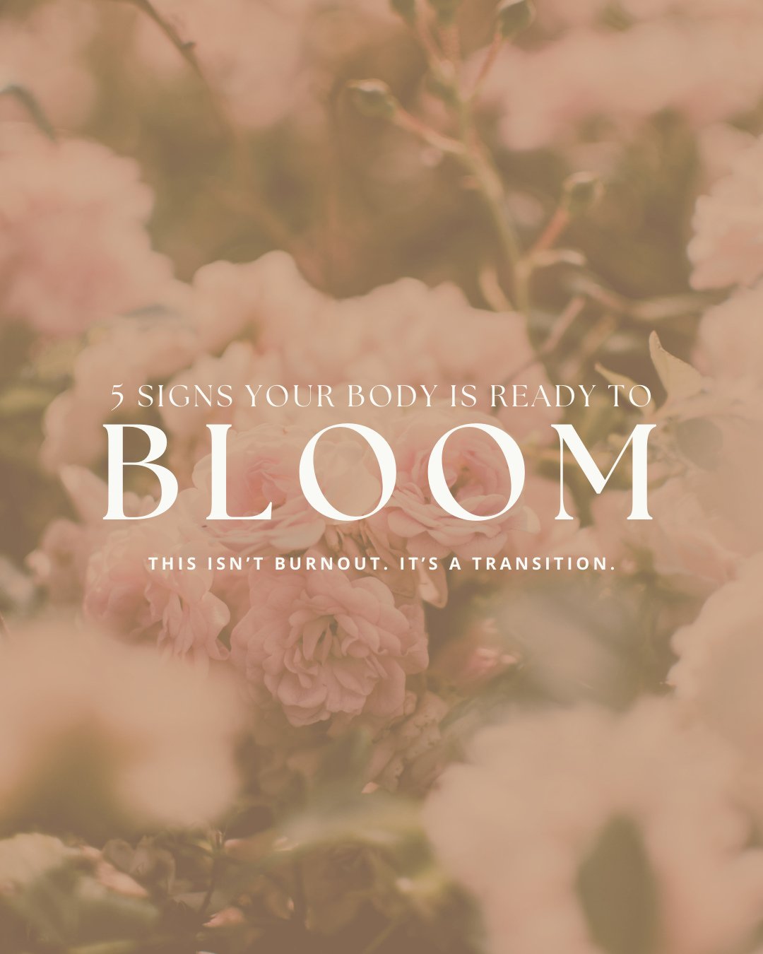 Expansion doesn&rsquo;t begin with certainty.⁠
It begins with discomfort.⁠
⁠
That restlessness?⁠
That longing?⁠
That quiet whisper of &ldquo;more&rdquo;?⁠
⁠
That&rsquo;s growth knocking.⁠
⁠
You don&rsquo;t have to navigate this alone.⁠
⁠
Save this po