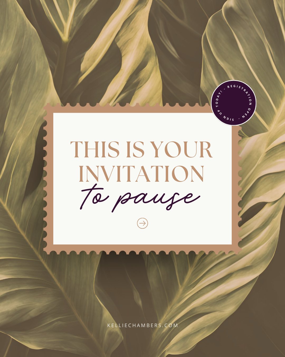 Retreat is not escape.⁠
⁠
It is intentional space.⁠
Space to reconnect.⁠
Space to remember who you are.⁠
Space to feel fully alive.⁠
⁠
When humans gather with purpose, transformation happens naturally.⁠
⁠
Visit the link in my bio to see all my upcomi