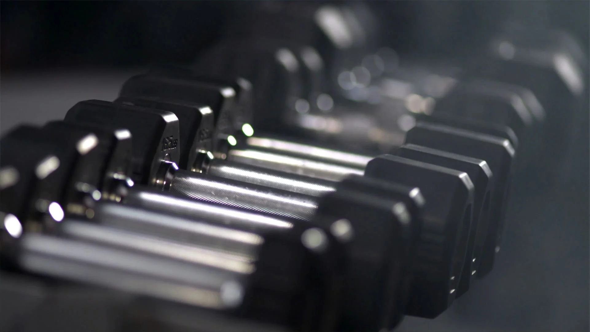 banner opener 2026.jpg