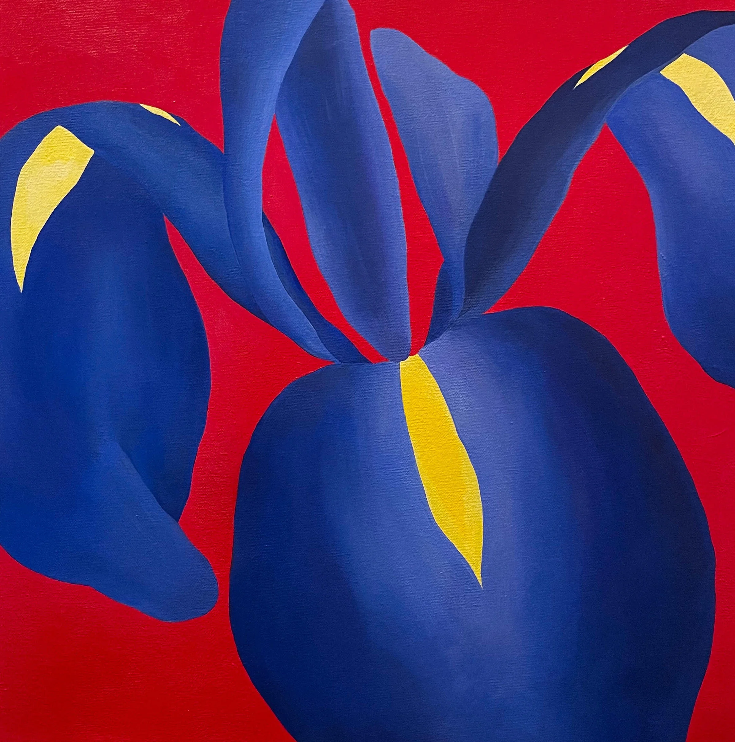 Blue Iris (2019).jpg