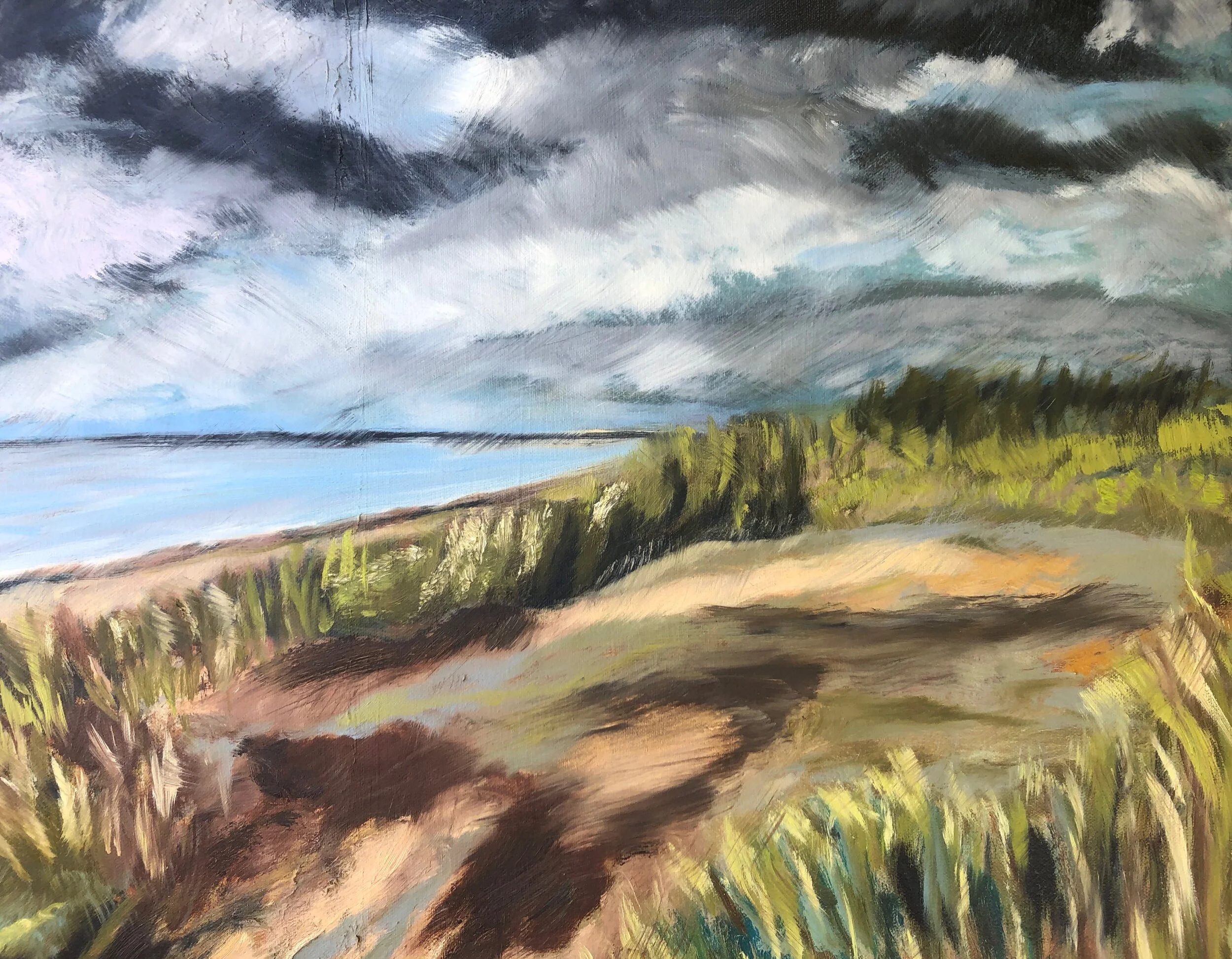 5fields of grey.jpeg