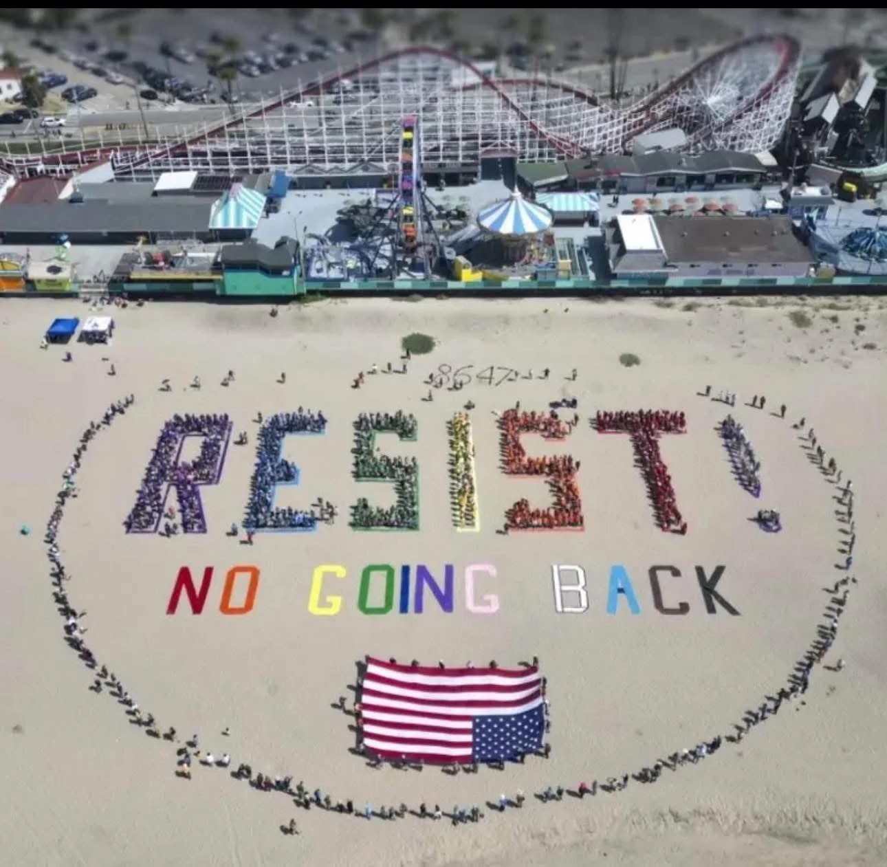 Santa Cruz Resist.jpg