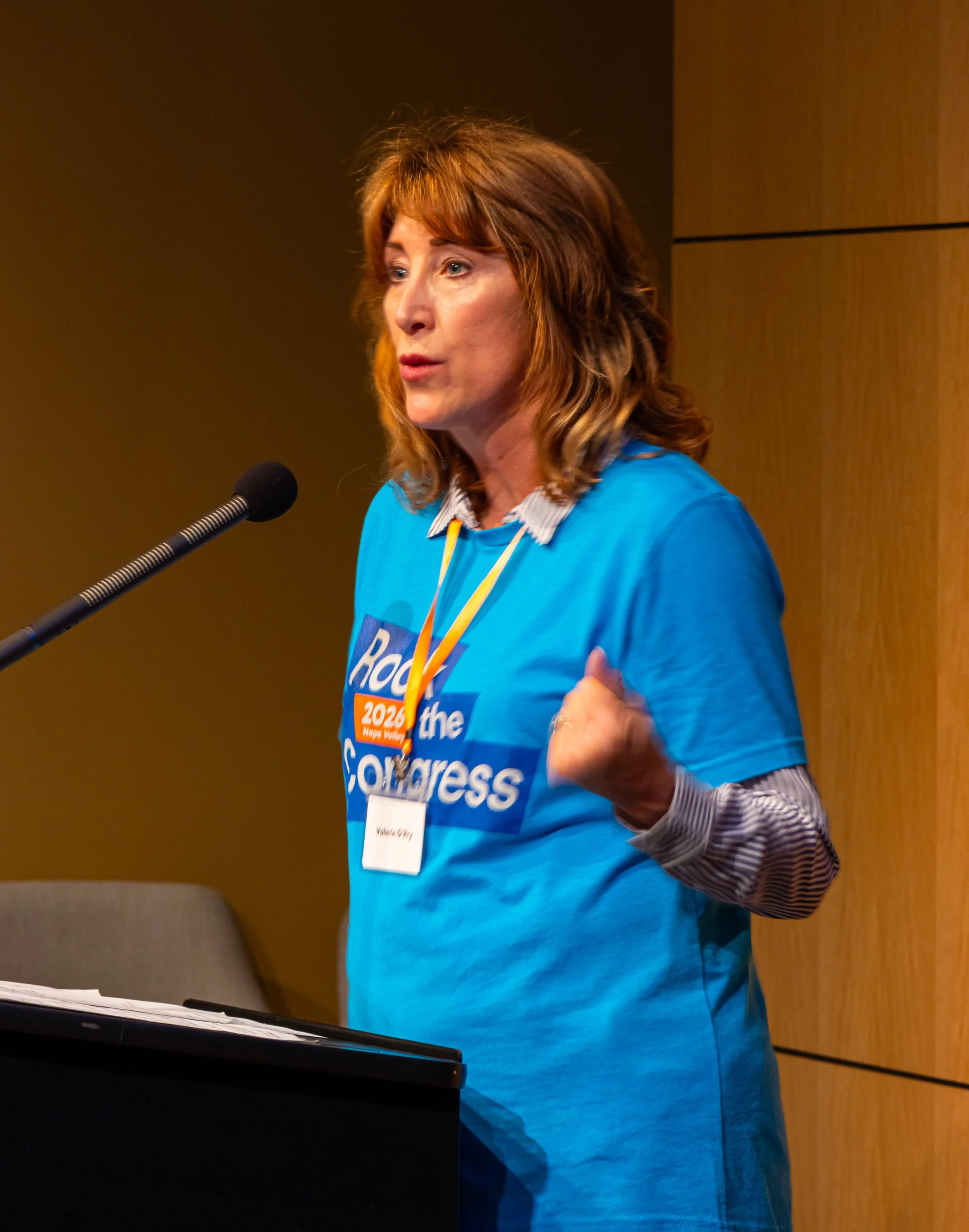 rock_congress_260411-6_PRINT.jpg