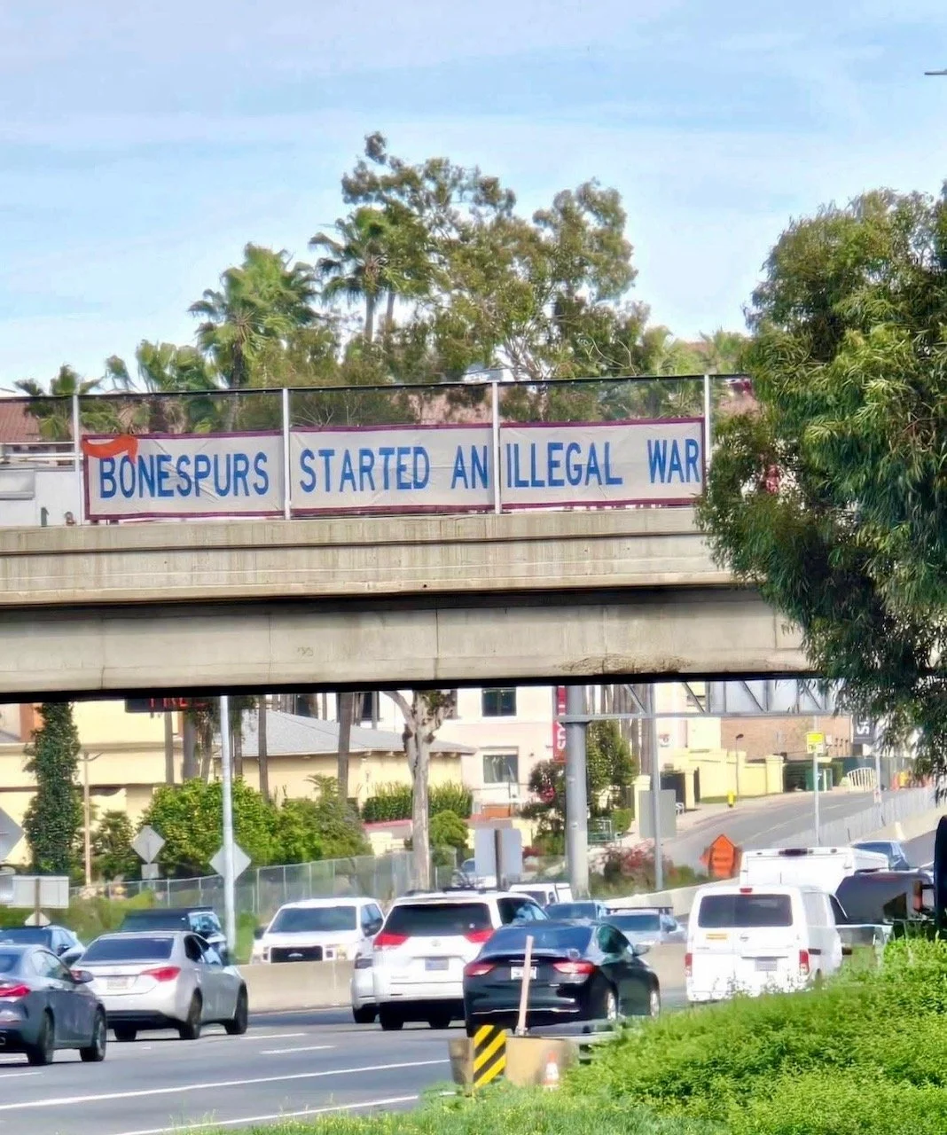 Bonespurs.jpg