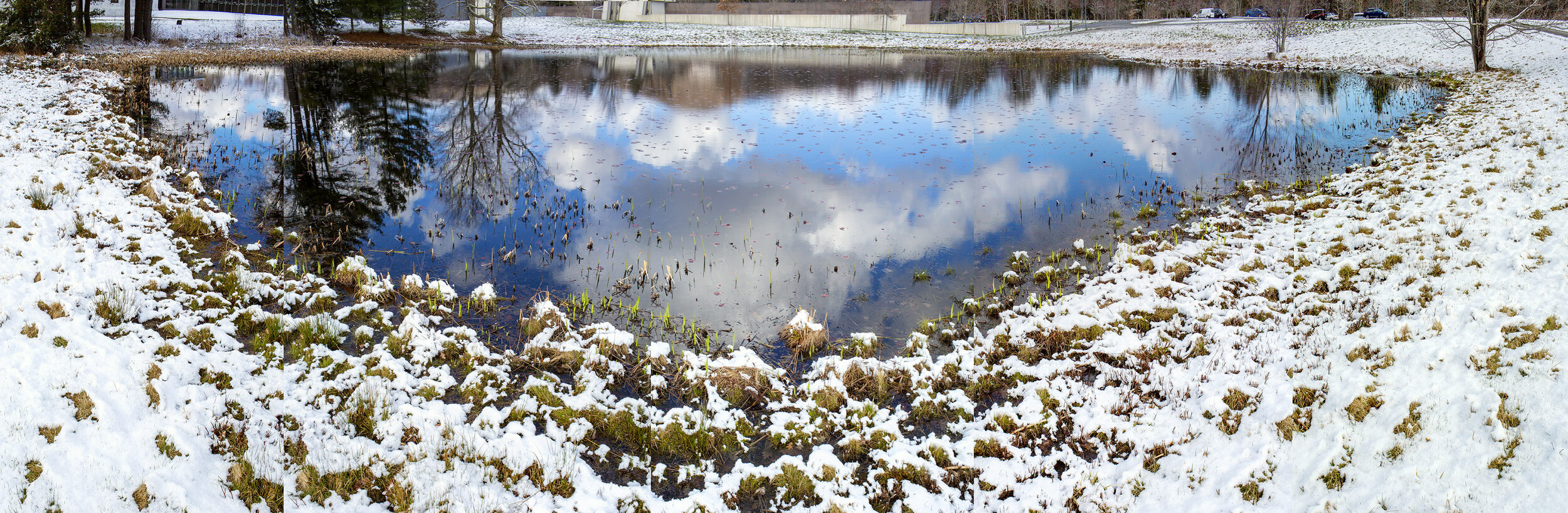 Stone Hill Lily Pond #2, Spring Snow