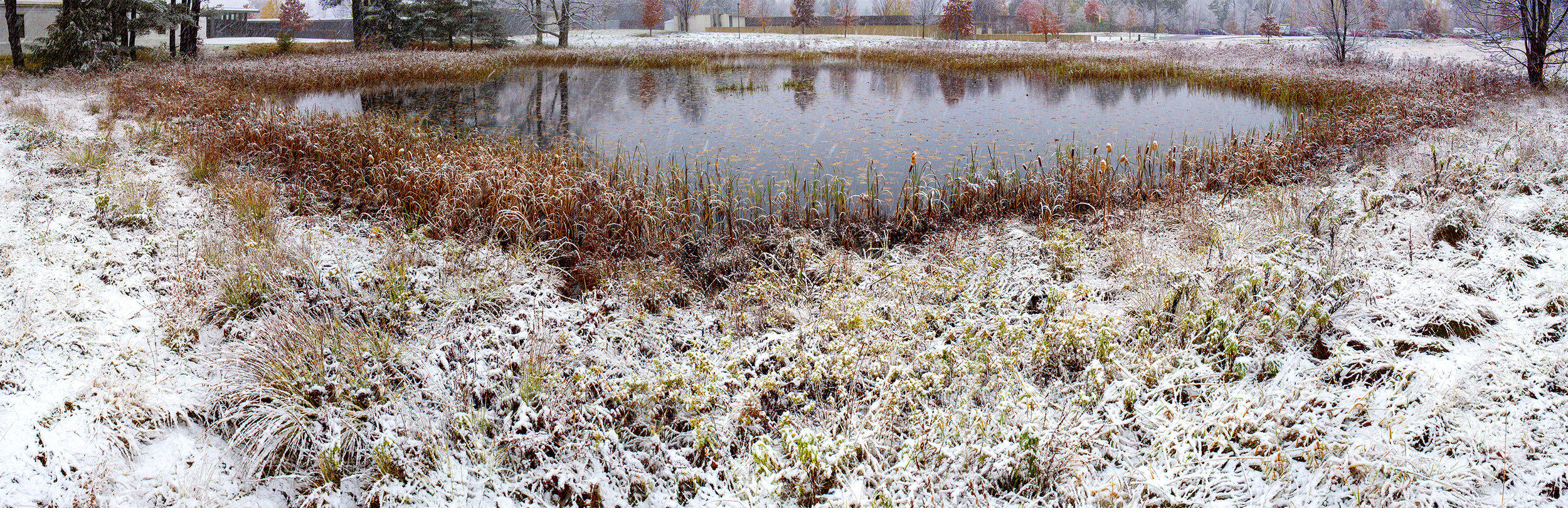 Stone Hill Lily Pond #14, First Snow