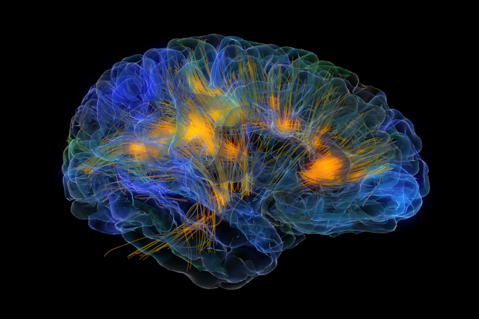 мозг электромагнитные волны. нейробиология фон. нейробиология психотерапии. мощность мозга. лаборатория нейронауки и когнитивных технологий.