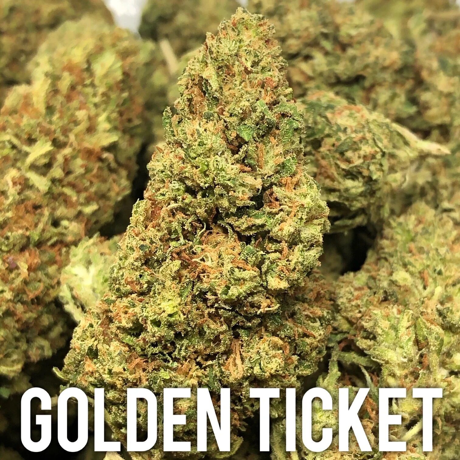 Golden Ticket