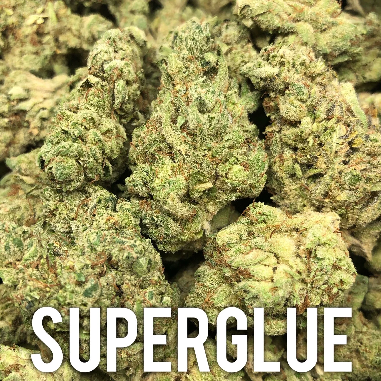 Super Glue