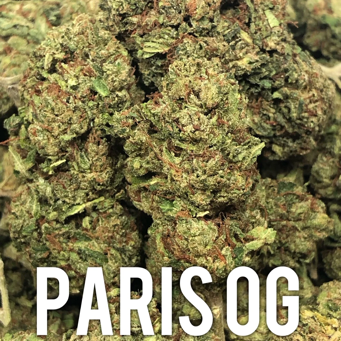 Paris OG