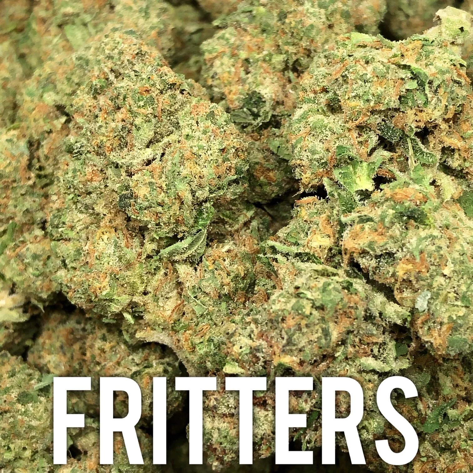 Fritters