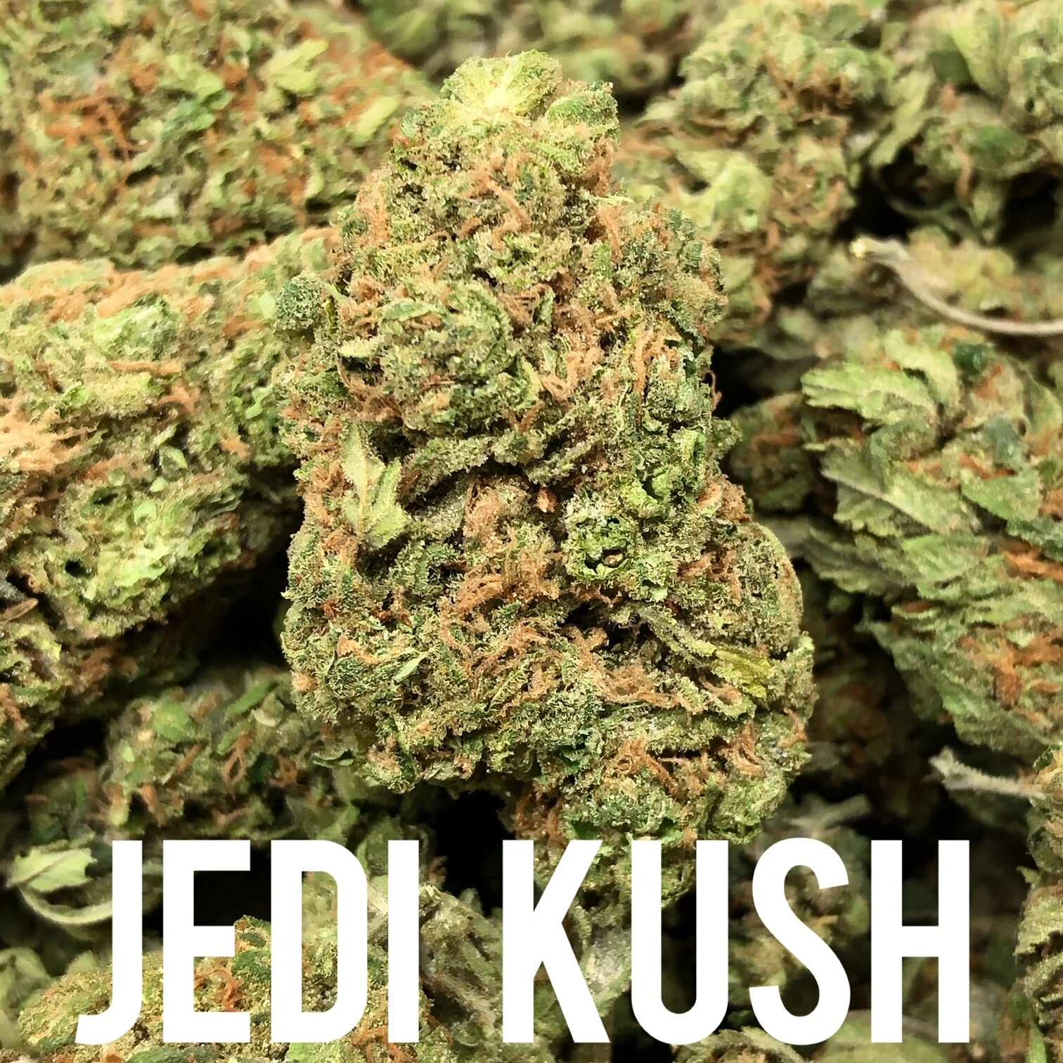 Jedi Kush