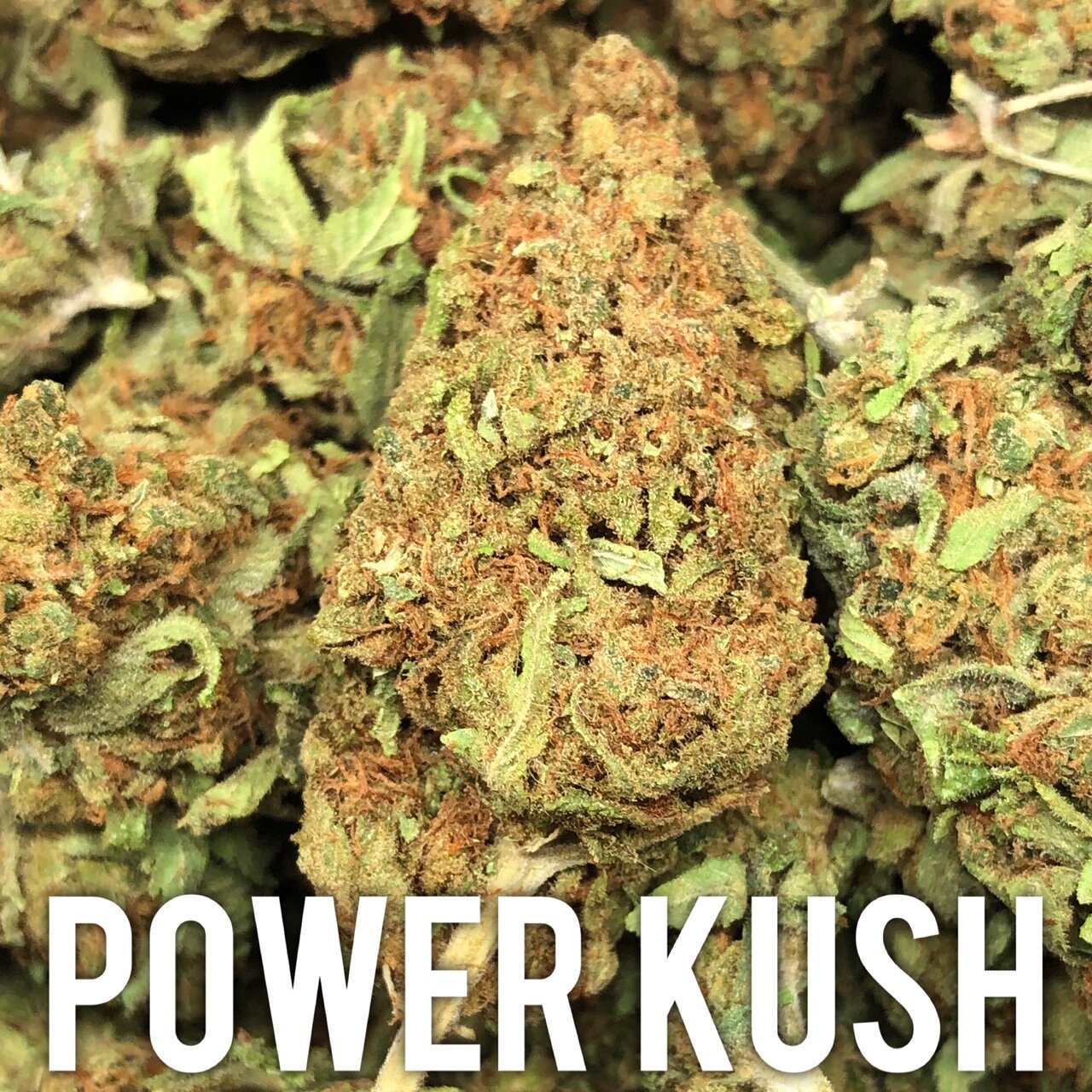 Power Kush