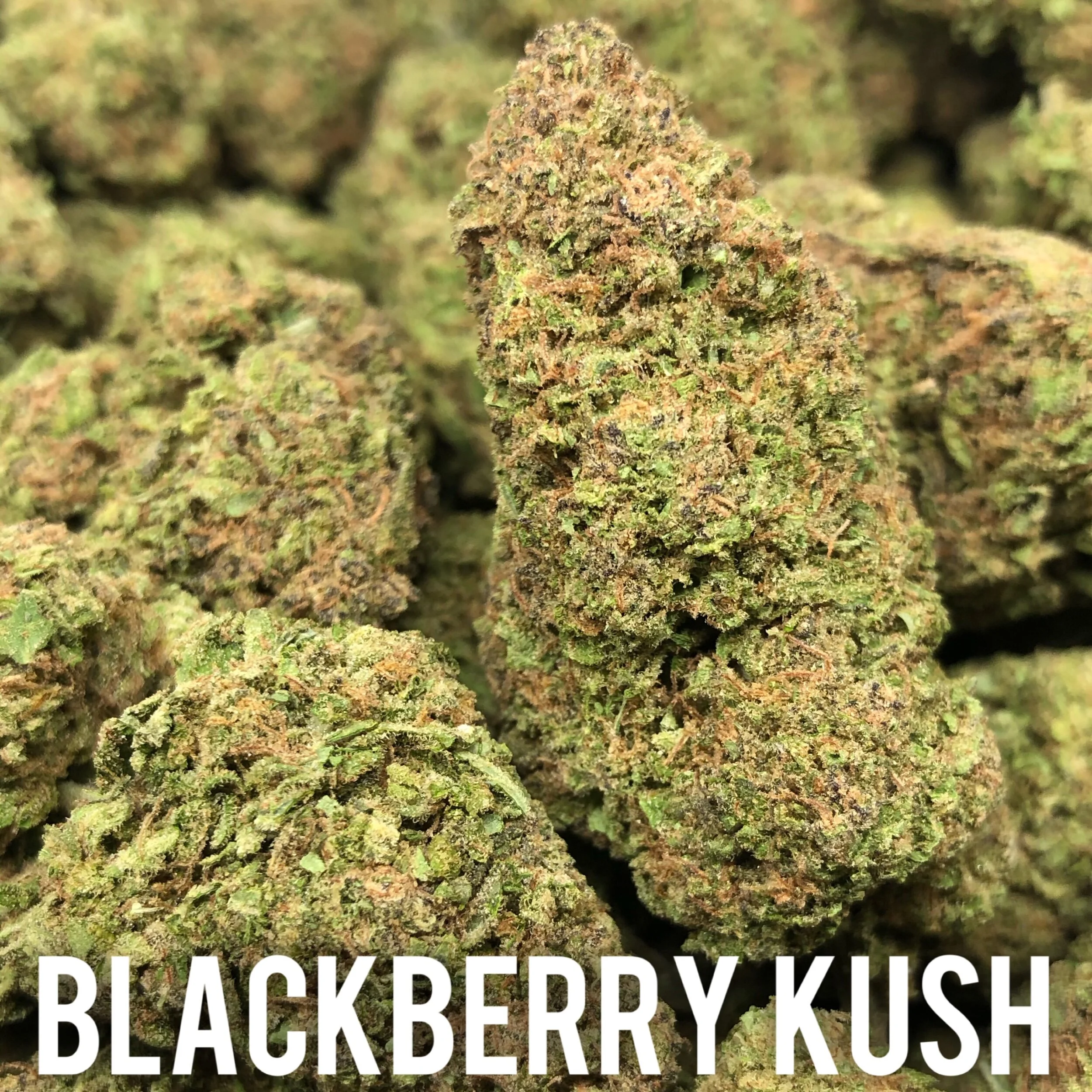 Blackberry Kush - Top Shelf