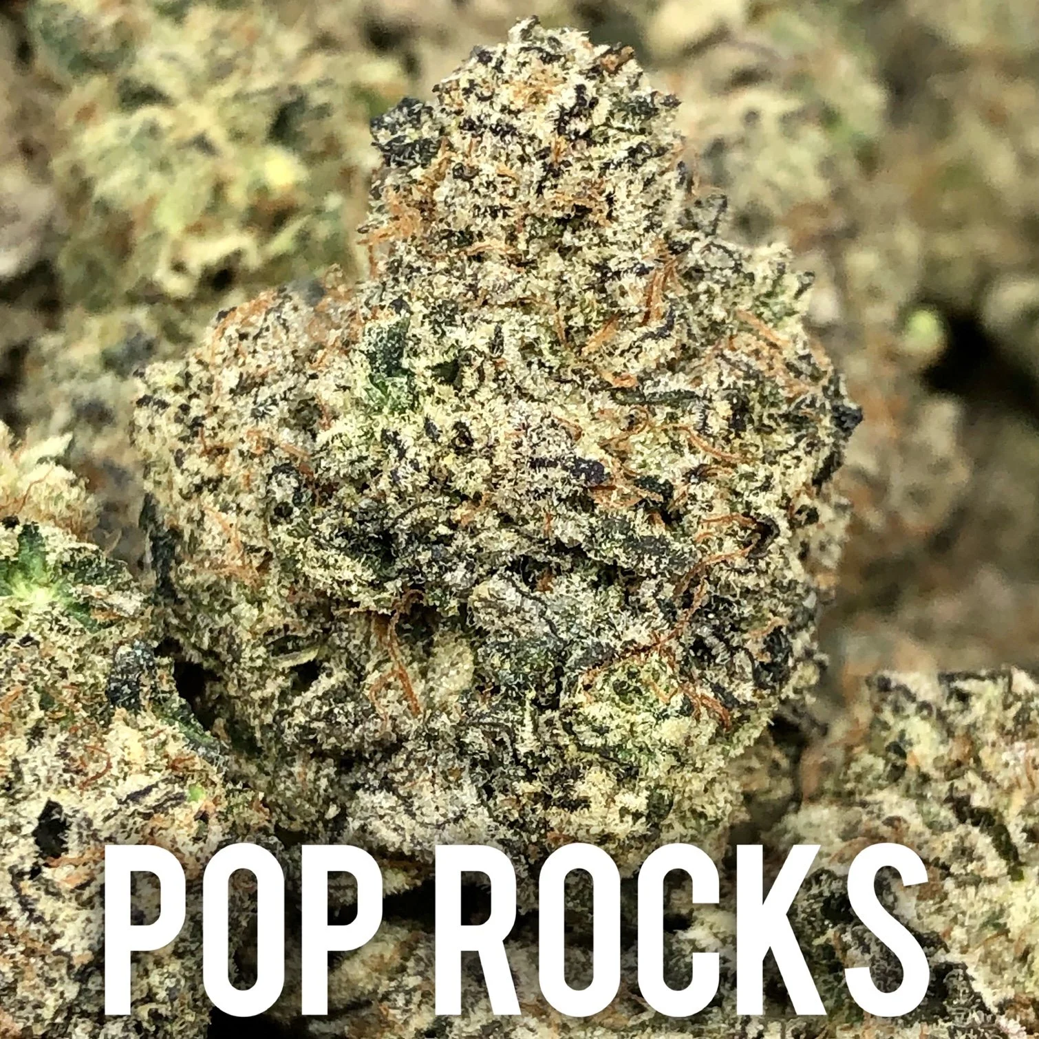 Pop Rocks: 2oz for $185