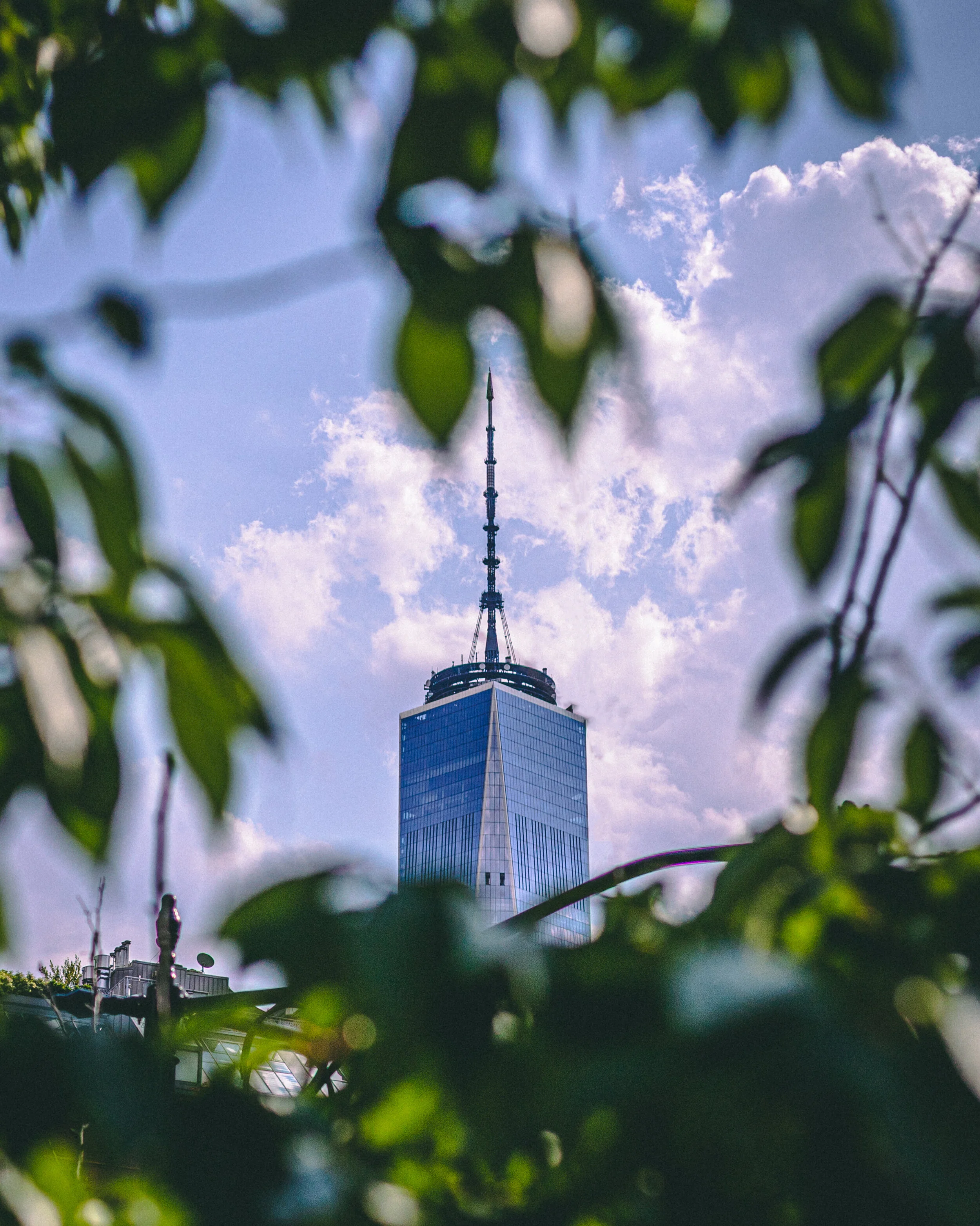 wtc  photoshoped.jpg