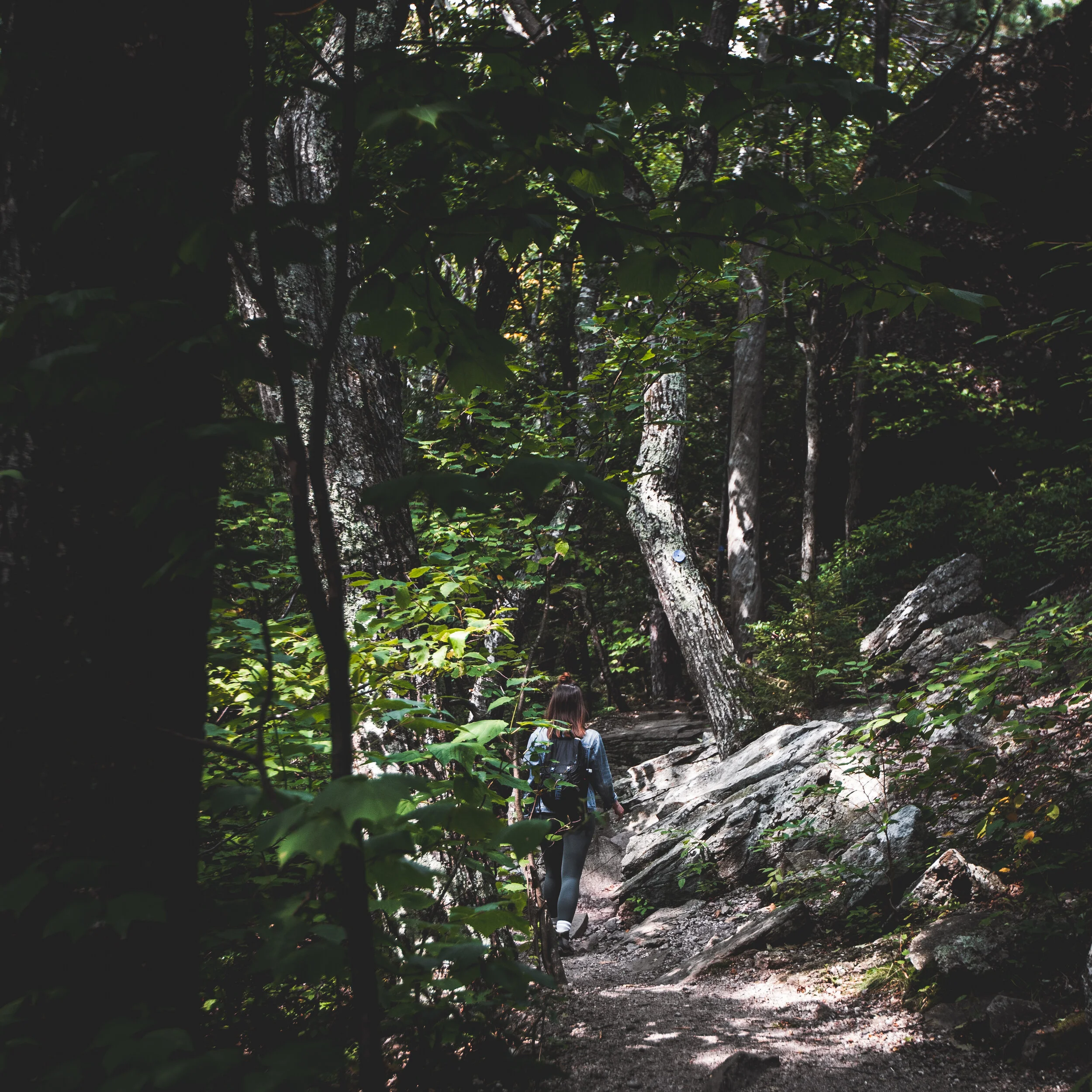 WINDHAM-9964.jpg