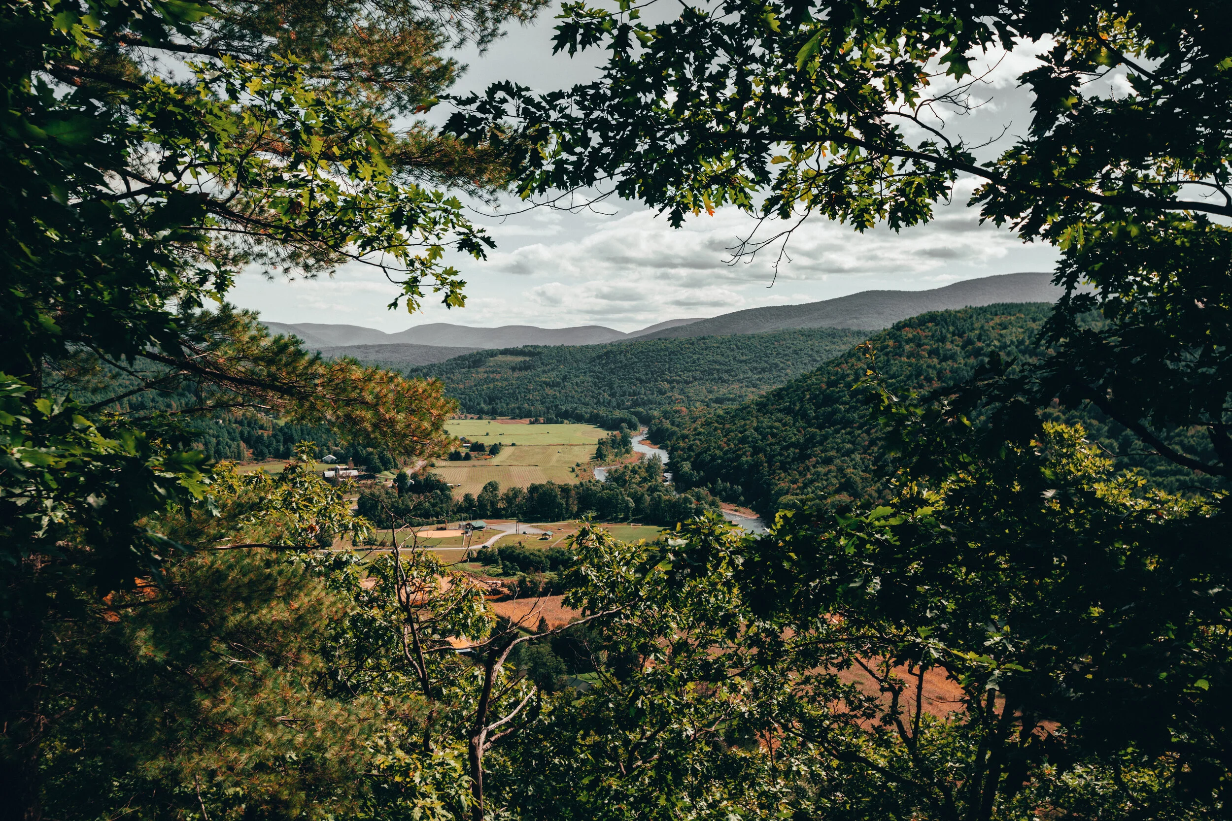WINDHAM-9968.jpg