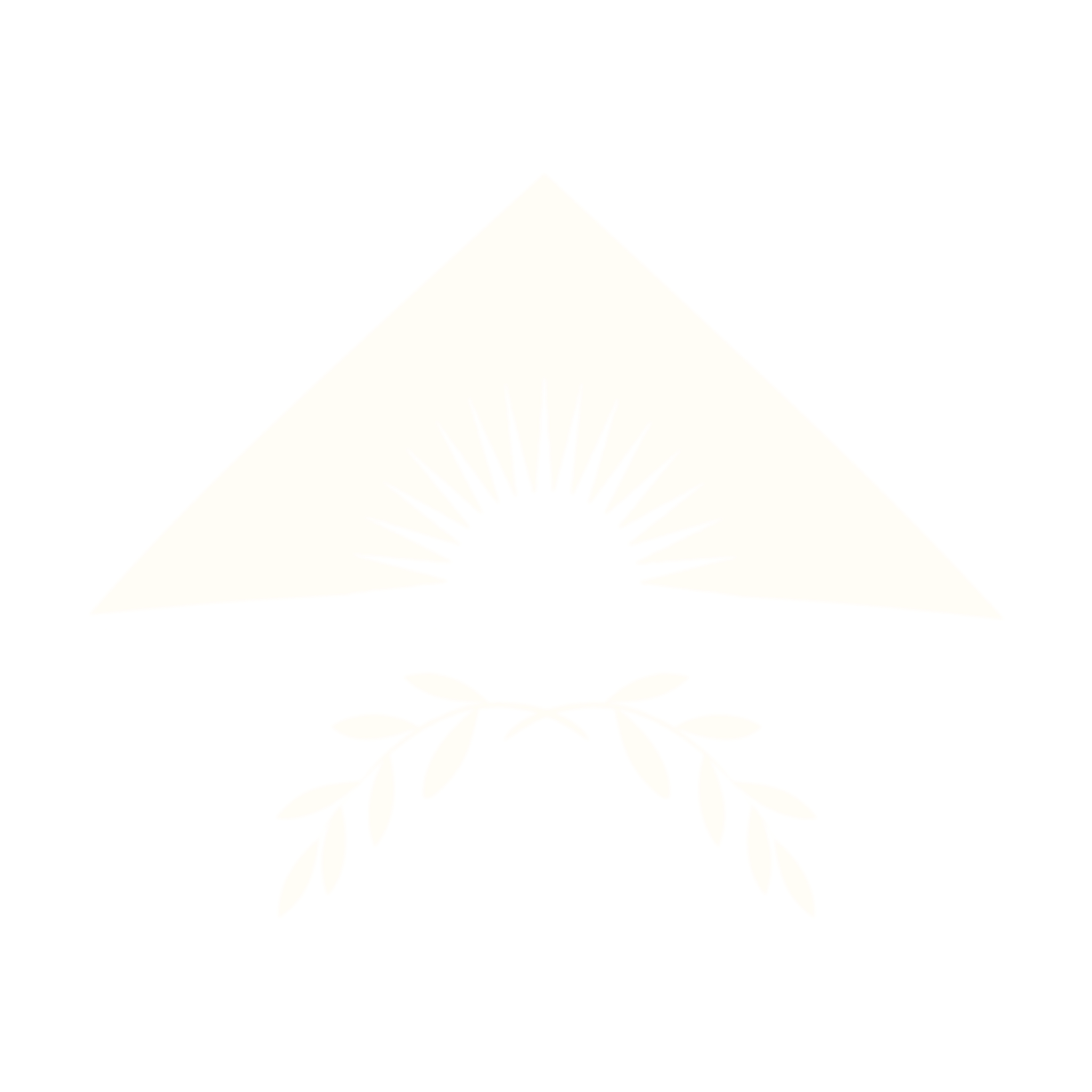 Habitat Beauty Co.