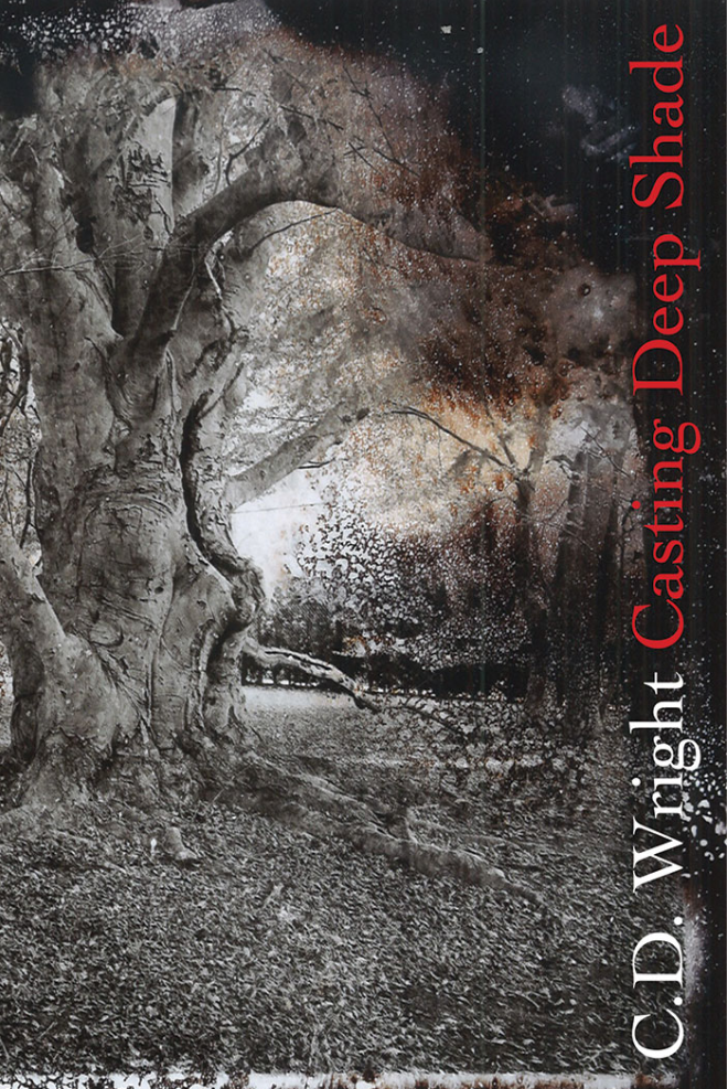 Cover of Casting Deep Shade by C.D. Wright