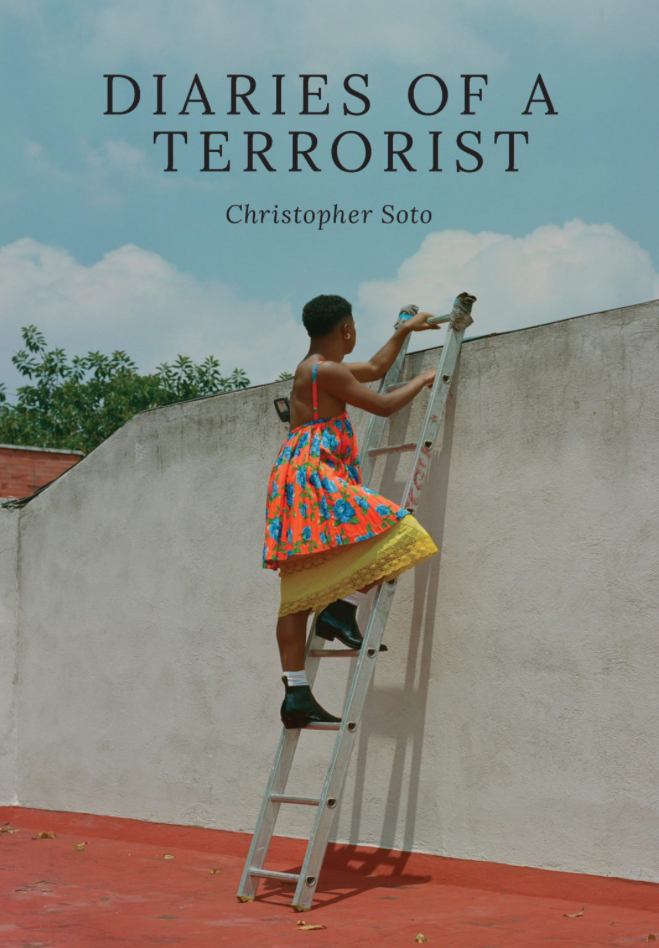 Cover of Diaries of a Terrorist by Christopher Soto