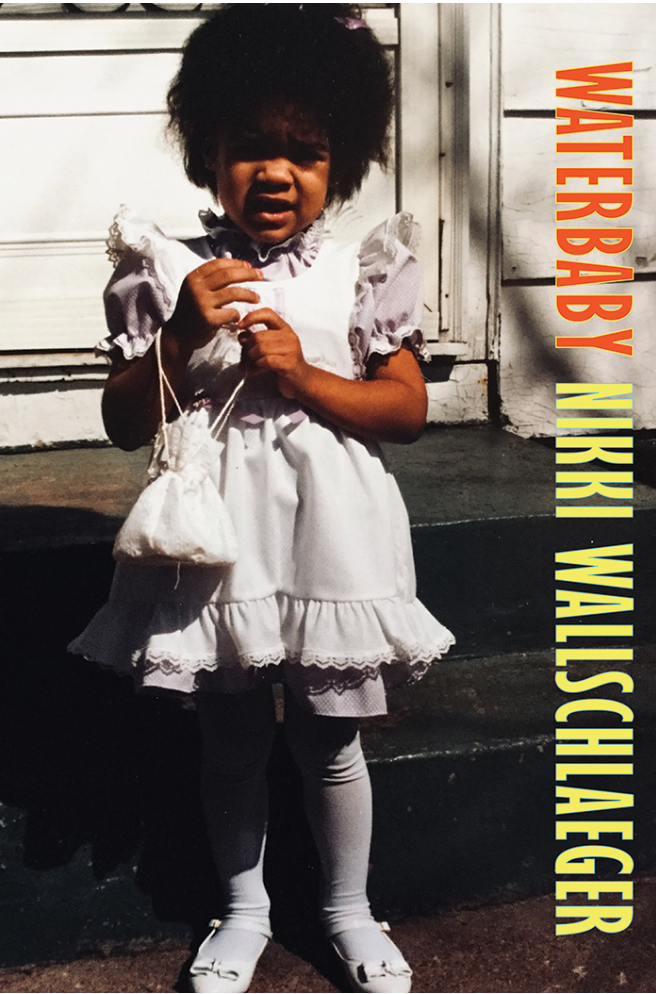 Cover of Waterbaby by Nikki Wallschlaeger