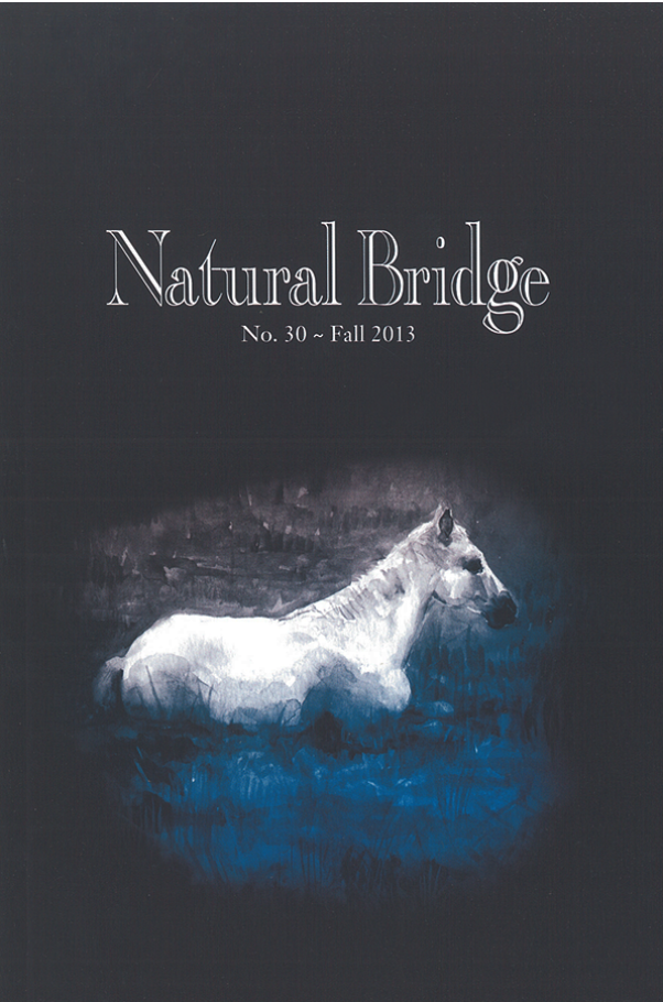 Poem: "The New Silence," Natural Bridge
