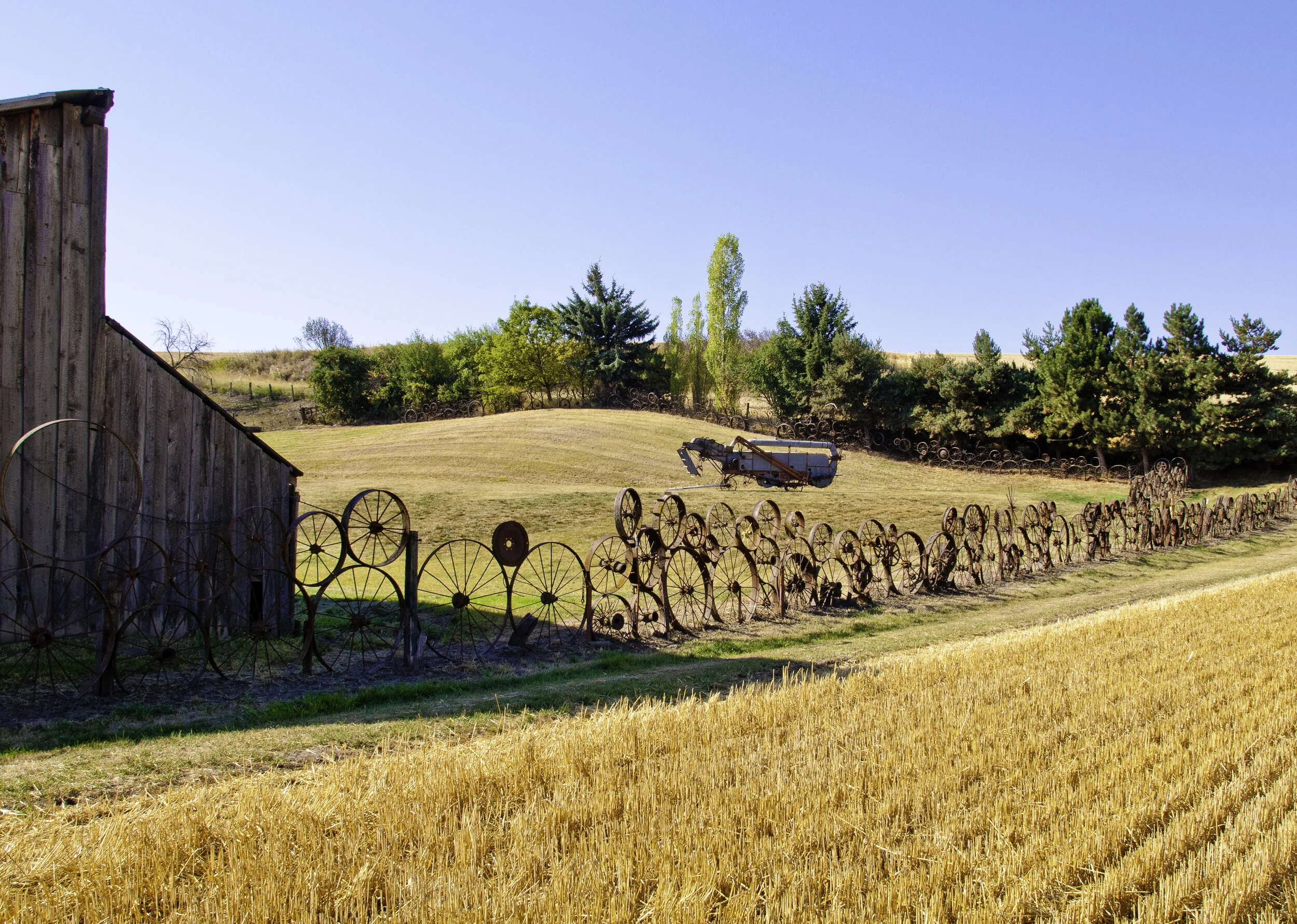 DSC_0476-3.jpg