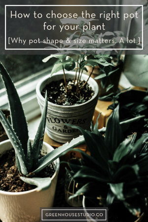 5 Secrets for Choosing the Correct Planter Pot Sizes - Pots Planters & More