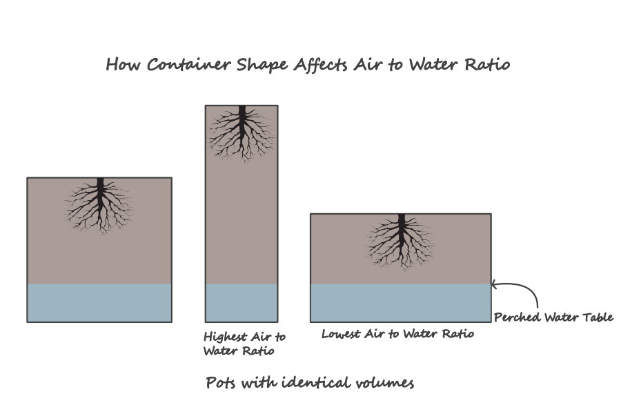 Planter Shape Guide  Why Pot Shapes Matter - JBD Concepts