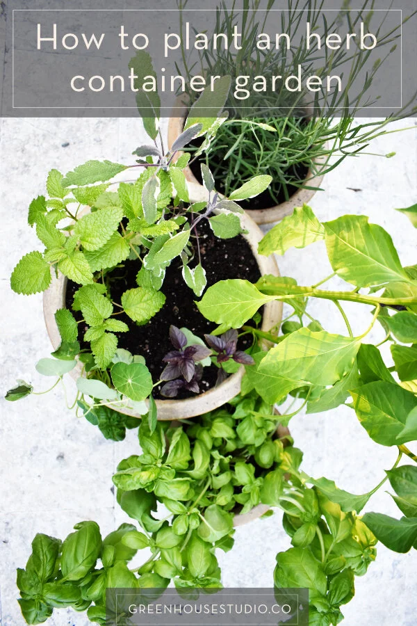 How to plant an herb container garden for patio or kitchen — Greenhouse ...
