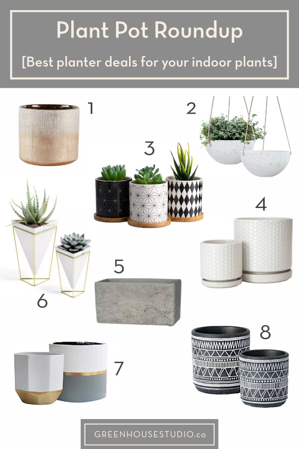 Transform Your Outdoor Living Area with Trendy Plant Pots
