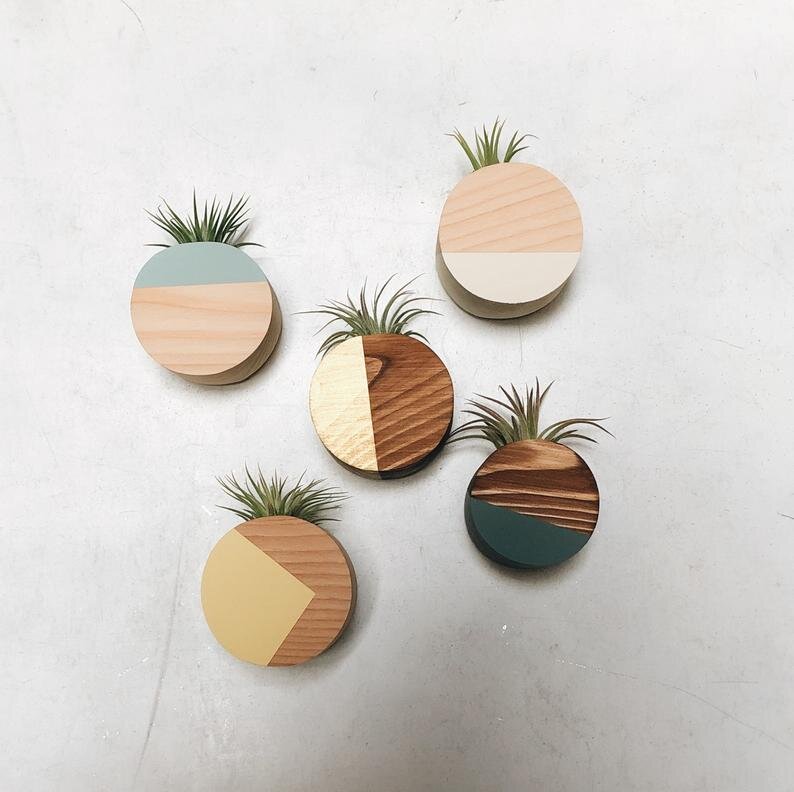 Air plant holder display refrigerator magnet geometric style