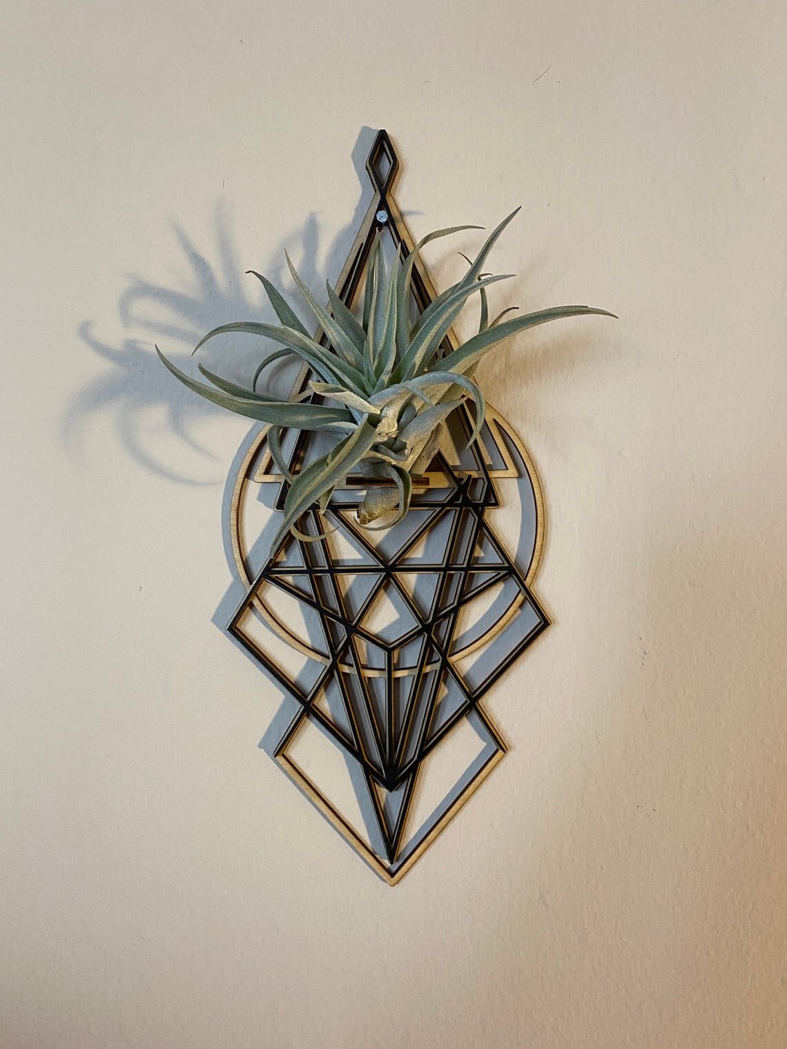 Air plant tillandsia wall mount holder geometric laser cut display plaque 