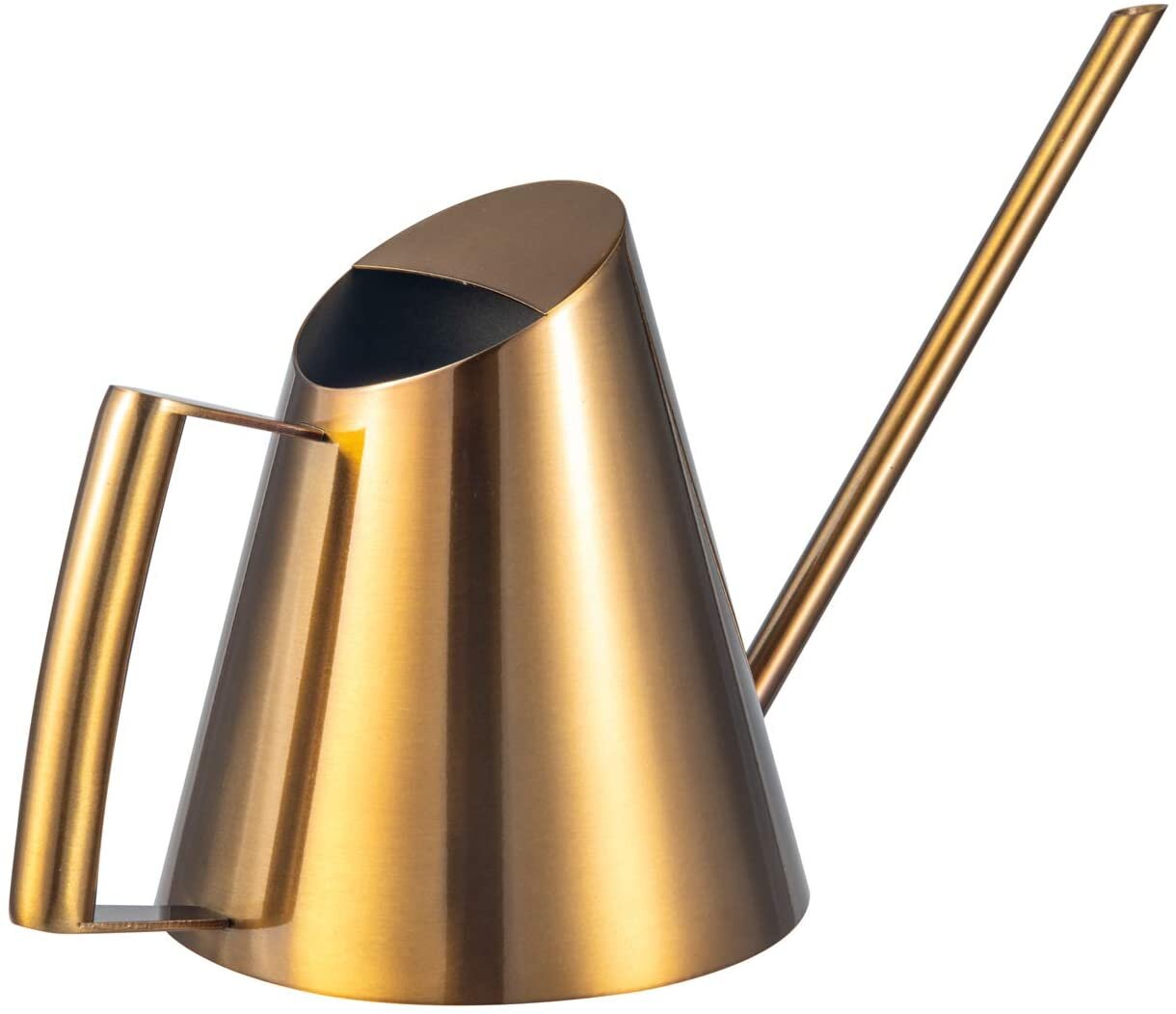 Amazon Small Stainless Steel Watering Can for Indoor Plants 