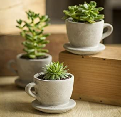 Concrete Tea Cup Planter Set, - Amazon