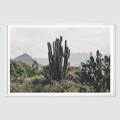 Oaxaca Landscape Print, The Citizenry
