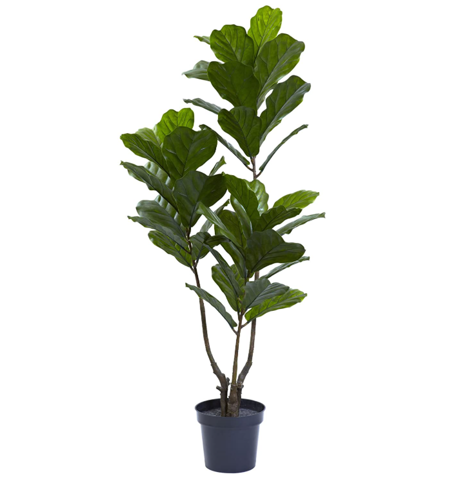 Nearly Natural Fiddle Leaf Fig, Amazon