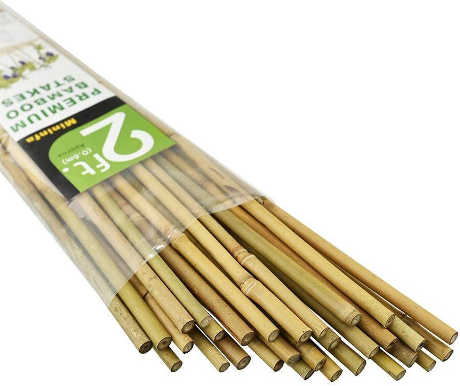 Eco Untreated Bamboo Plant Stakes, Amazon