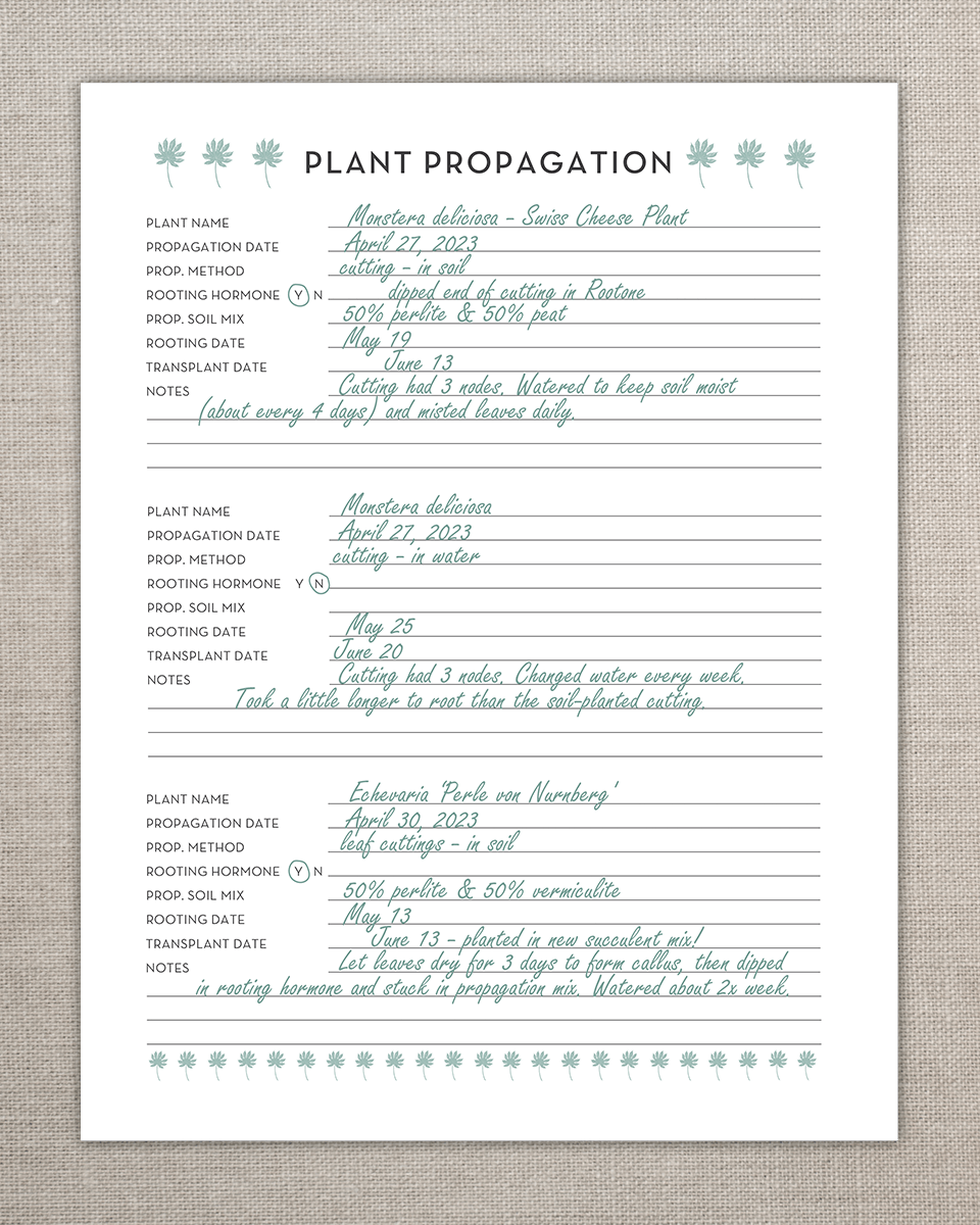 plant-planner-propagation-checklist.png