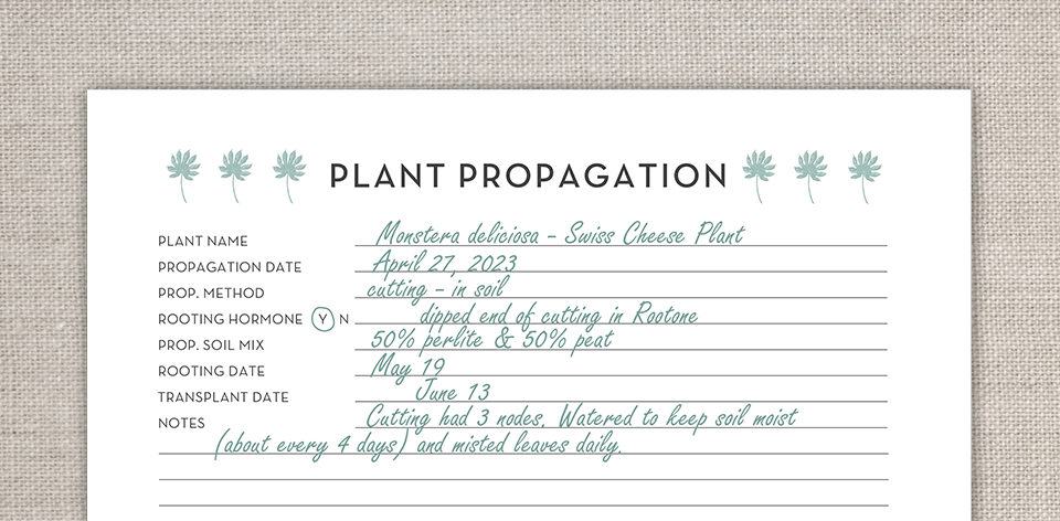 plant-planner-propagation-zoom.png